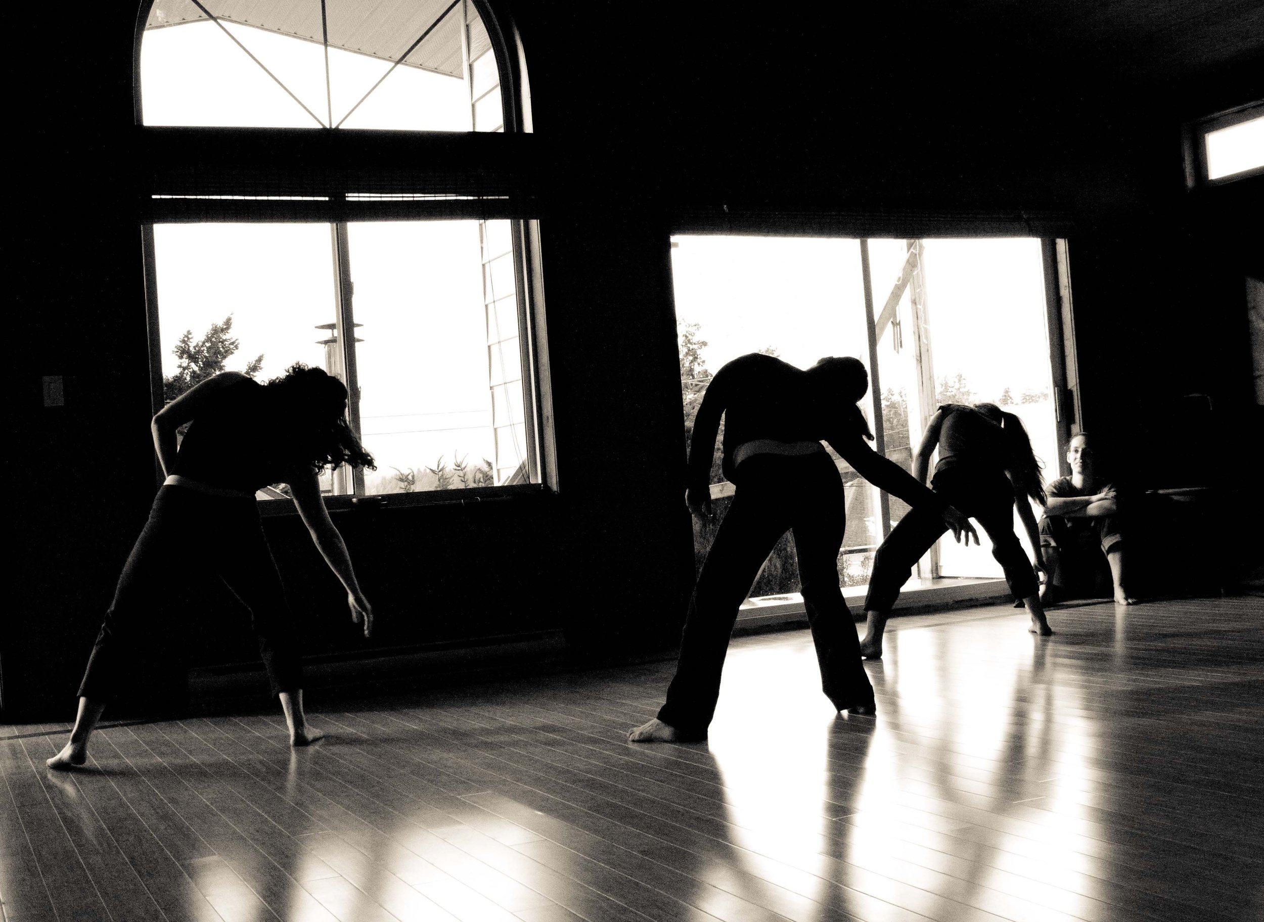 MoonDance Dynamic Arts School logo
