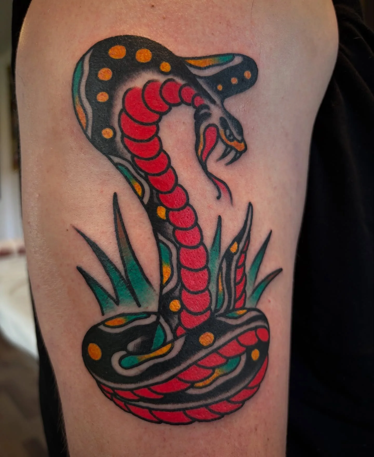 Snake for @liam.g.strong, thanks mate!
Couple spots over the the next couple weeks, DM or email :) &bull;thomastattooing@gmail.com&bull;