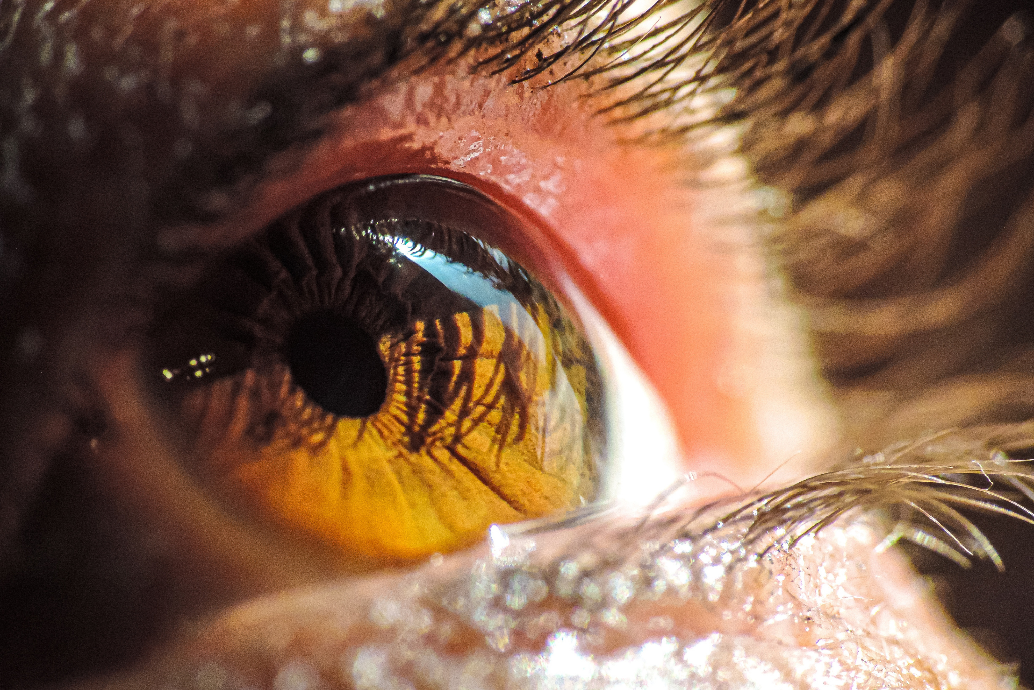 Close-up of a human eye, showing the brown iris, eyelashes, and part of the eyelid, with reflections and details in the eye.