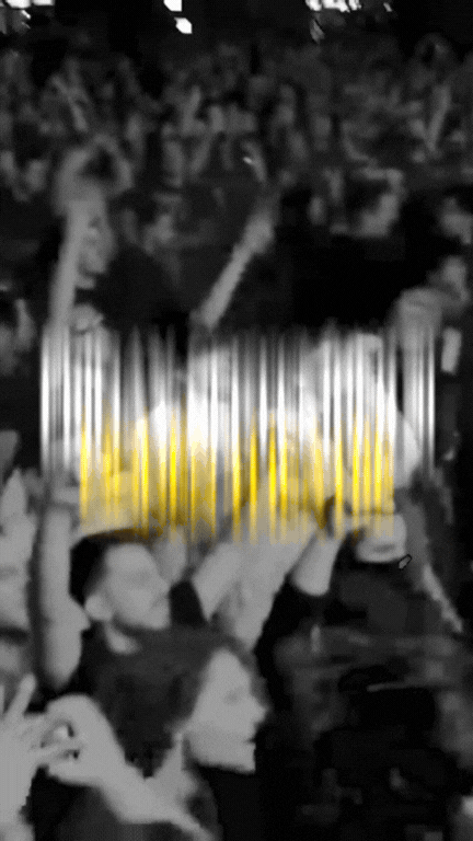 Untitled design (7).gif