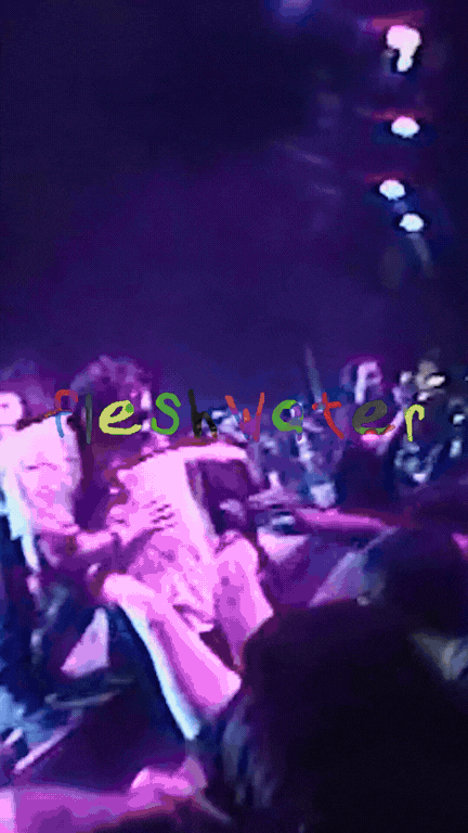 Untitled design (8).gif