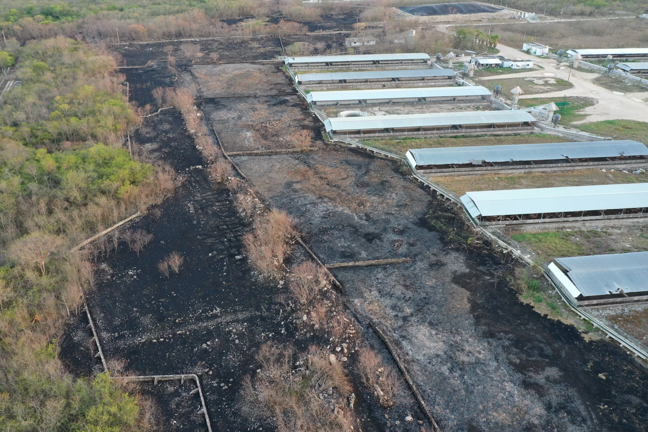 The farm burned pig manure and people developed respiratory illnesses, including bronchitis. The asthma of children suffering from this disease worsened. The Ministry of Health (in Mérida), said that it was not within its jurisdiction to address the 