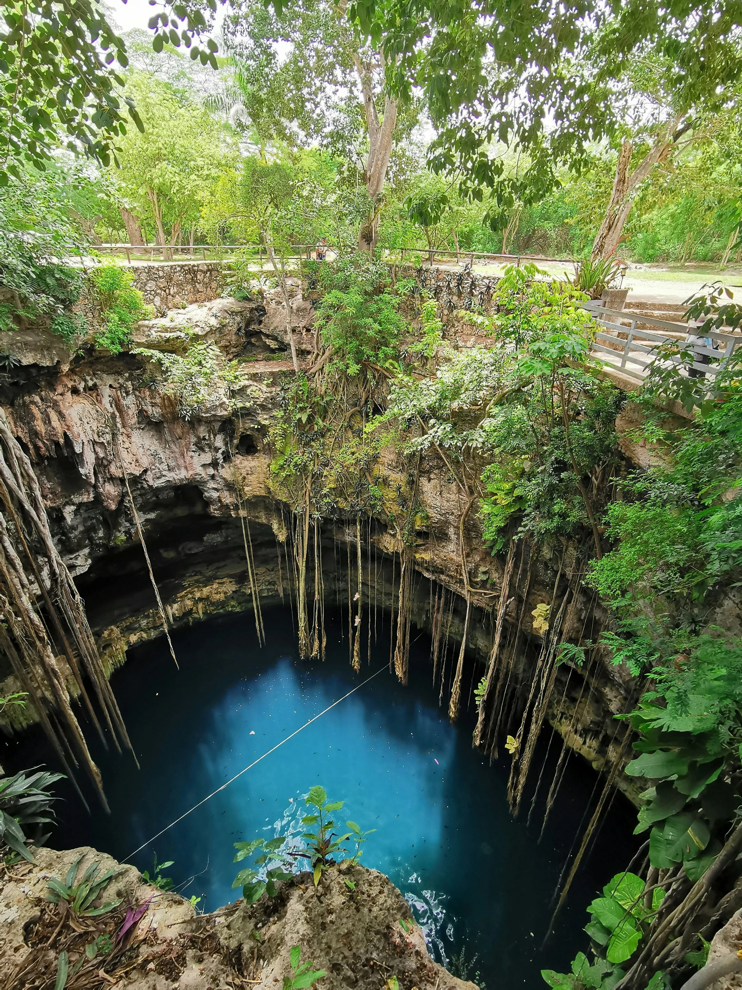 The Mayan Chik’in-já Council has been the primary defender against land-grabbing and other violations perpetrated by pork mega-farms. They conducted their own water monitoring as a result of the authorities' inaction regarding this environmental disa