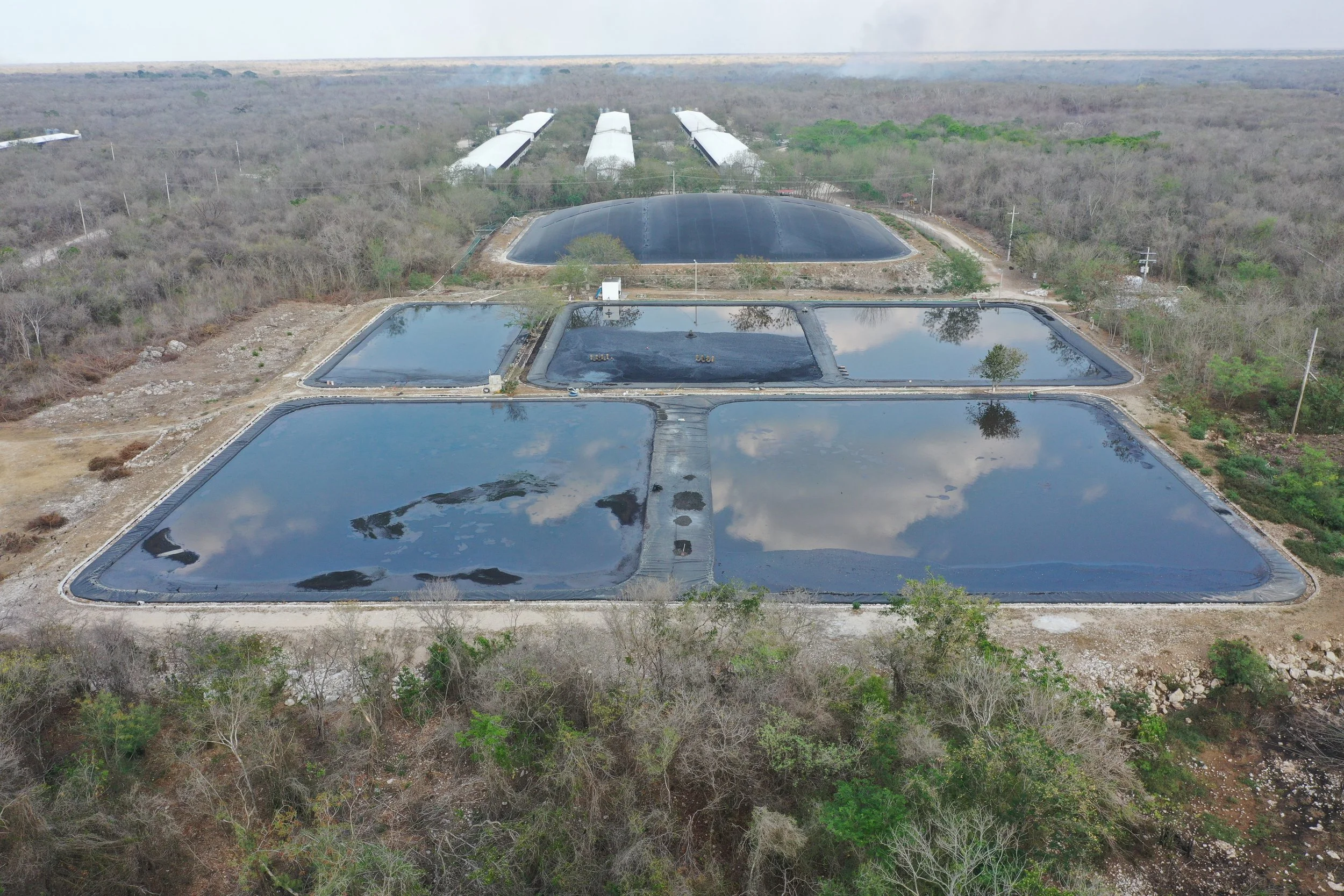 In Sitilpech, there are approximately 48,000 pigs in a mega-farm, while the local population does not exceed 2,000 residents. This farm operates less than a kilometer from the nearest houses in the community. 