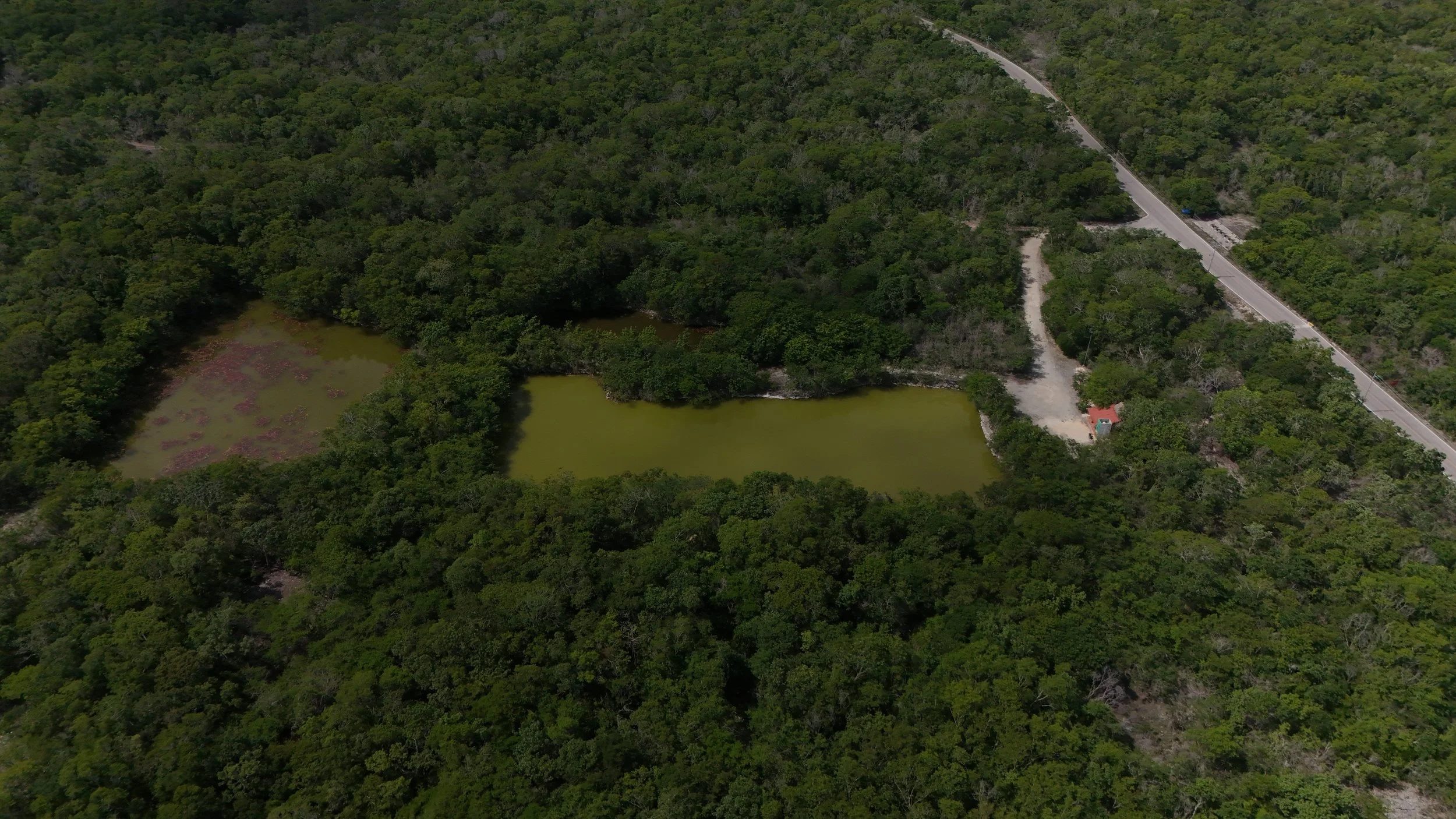 In the territory of Cantukun (near Kinchil), three families have been directly affected by land grabbing: backed by the State Attorney General's Office and the ROCA Group (an elite Yucatán police force trained by the US SWAT team, the Israeli Sayeret