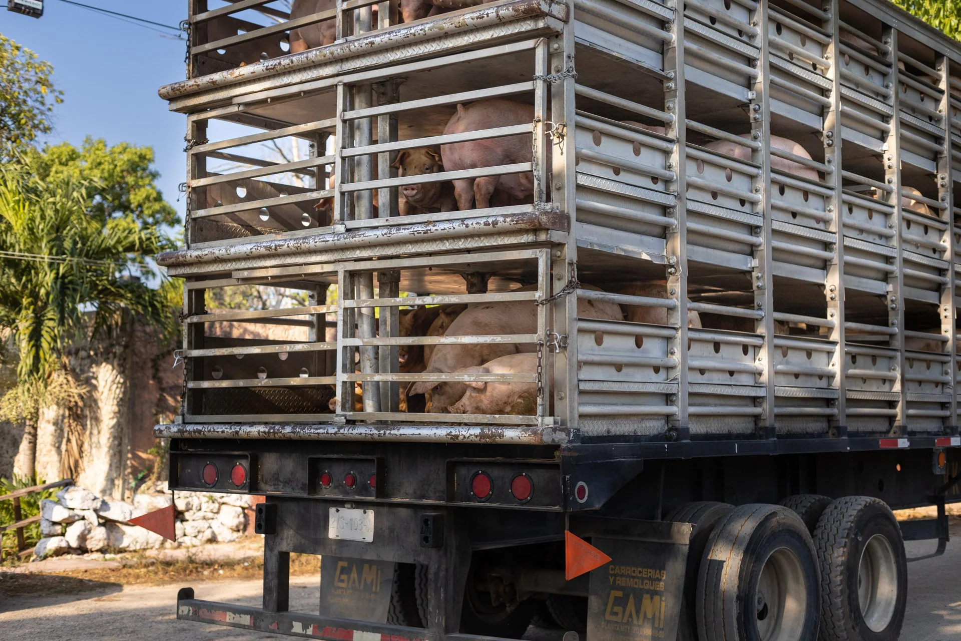 The legal proceedings against Wilberth Nahuat Puc have been ongoing for more than two years. The commissioner has already faced one hearing but the process has been suspended several times and remains open. After two years of this struggle, the mega-