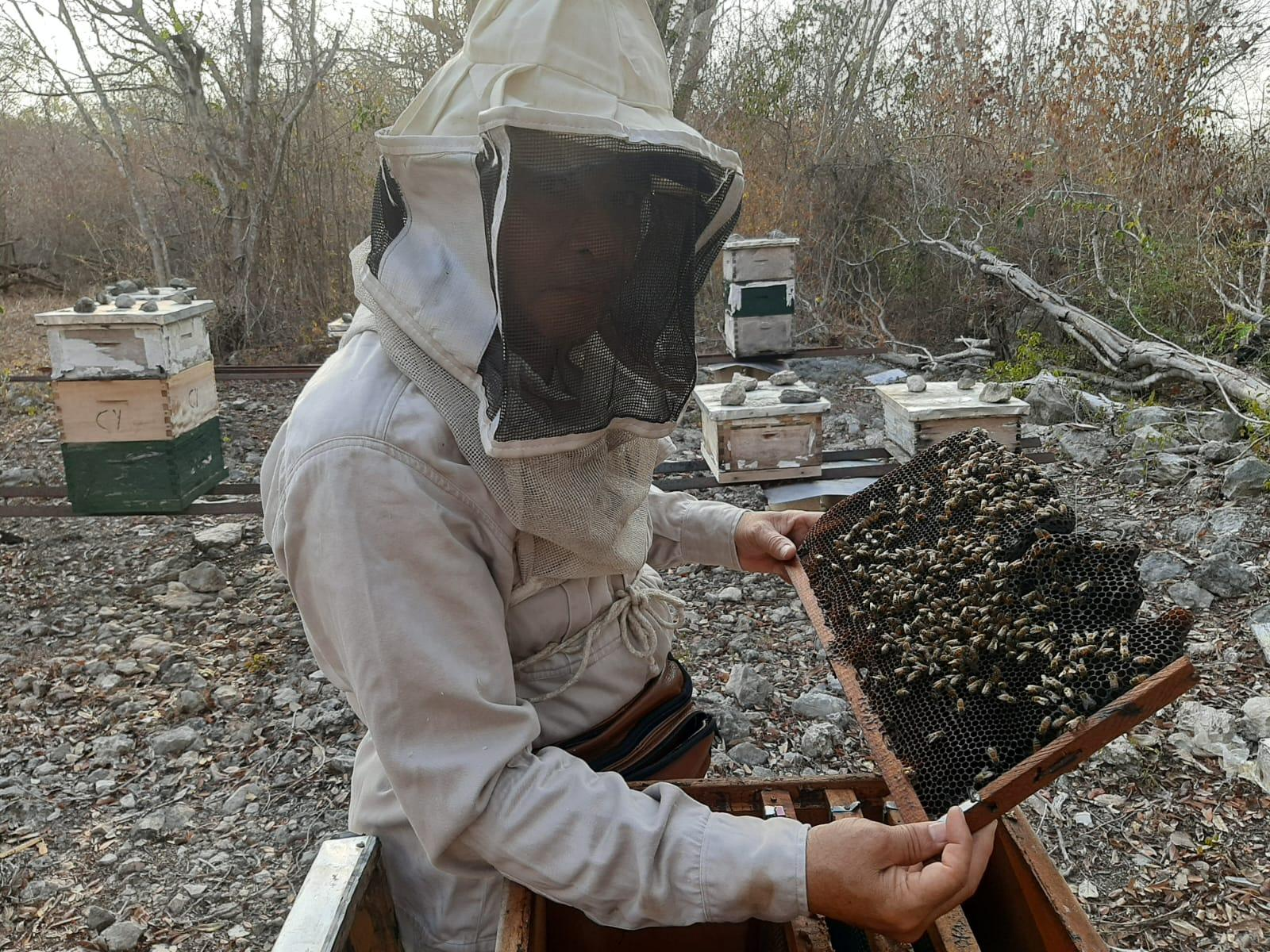 “The police came in with the workers cutting the wires with scissors and knocking down the trees we had nurtured for beekeeping. It was very distressing. They aimed to exert their power and instill fear. One of them remarked, ‘Those who don’t show up