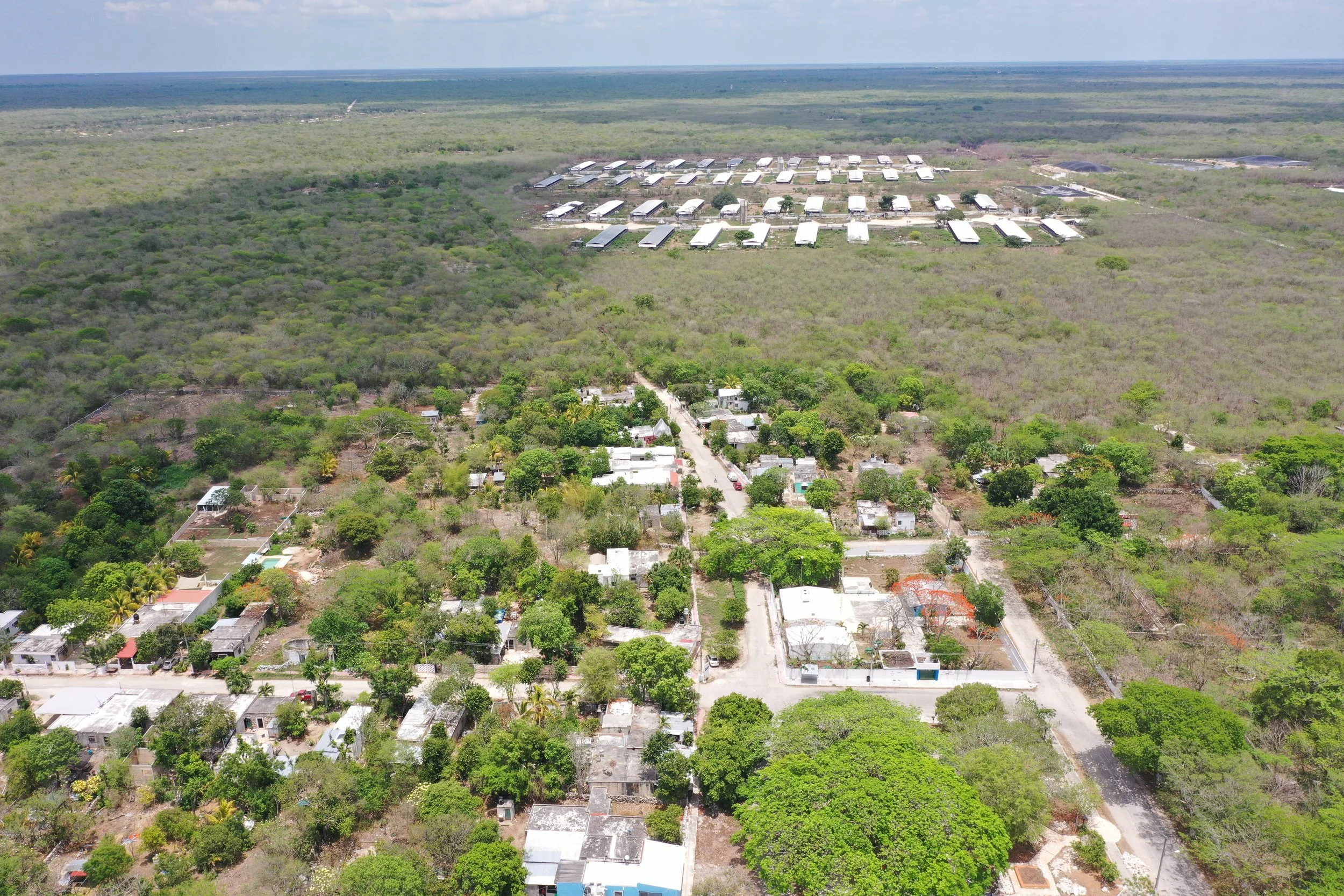 Santa María Chí has approximately 500 inhabitants, while mega-pork farms can hold more than 50,000 animals. The community started feeling the negative impacts when the farm went from small to huge. They could no longer drink the water or use it in ge