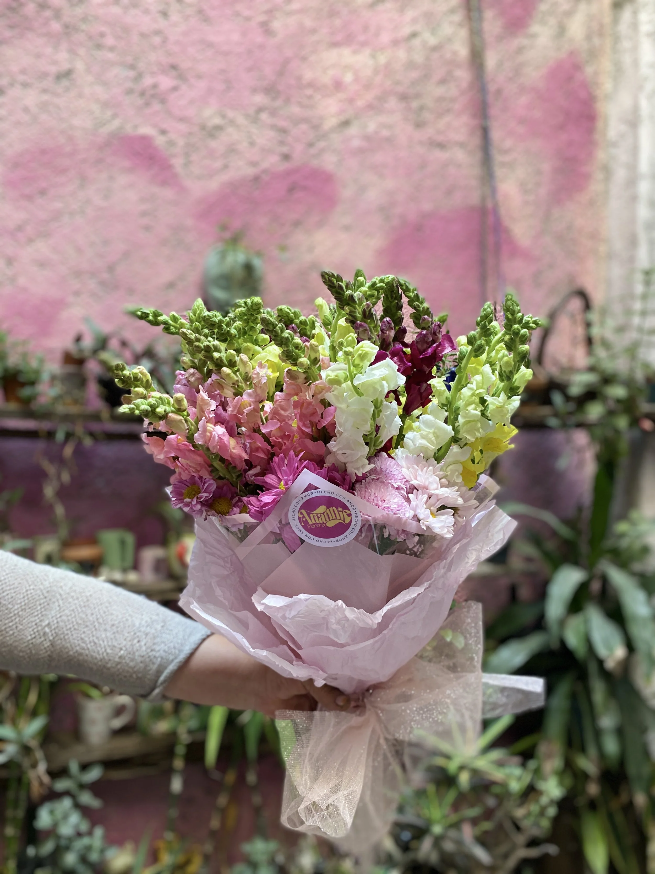 A bouquet of pink, white, and purple flowers wrapped in pink tissue paper, held by a person in a gray sleeve, with a pink and purple wall and potted plants in the background.
