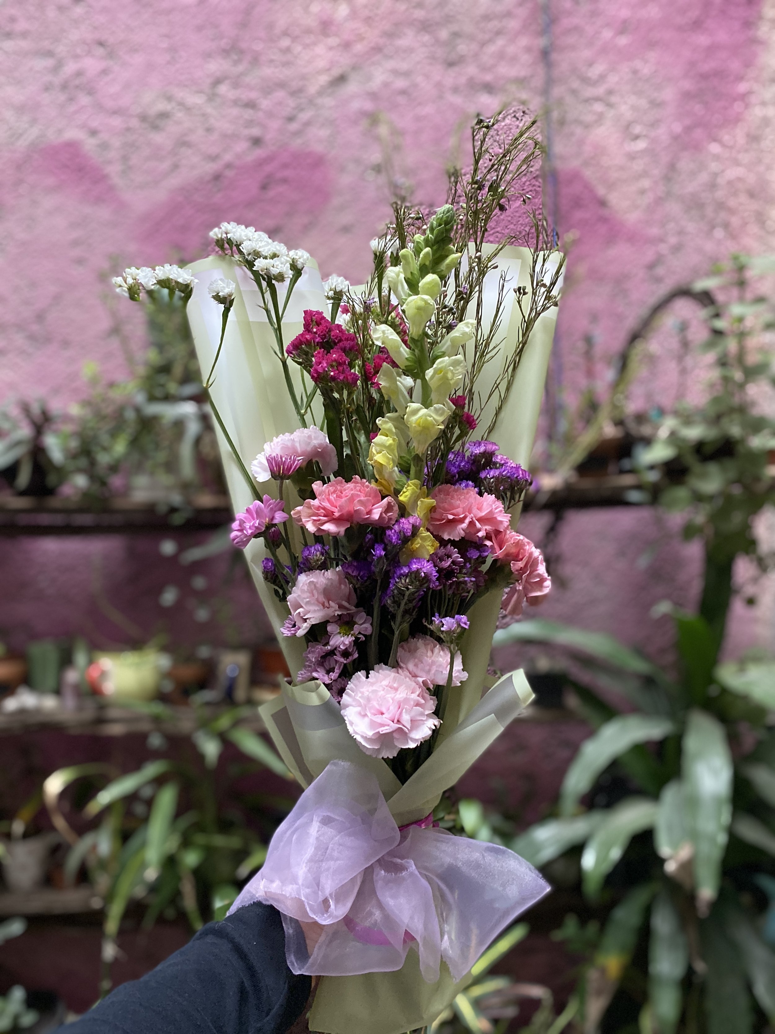 A colorful bouquet of flowers with pink carnations, purple daisies, white snapdragons, and small white and pink blossoms wrapped in light purple tissue paper, held by a person in front of a pink wall with potted plants.
