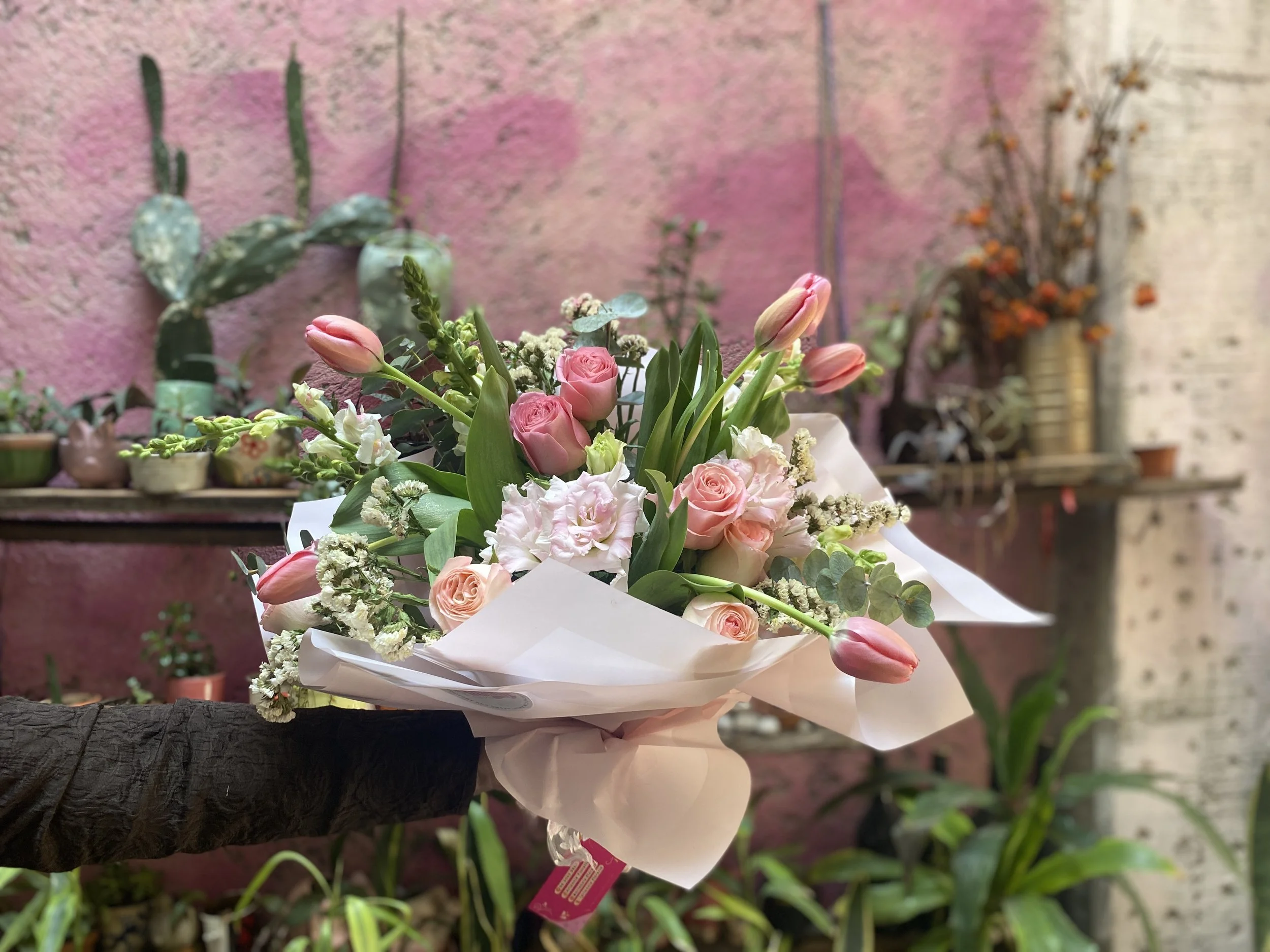 A hand holding a bouquet of pink tulips, roses, and white flowers against a pink and white wall with plants and shelves in the background.