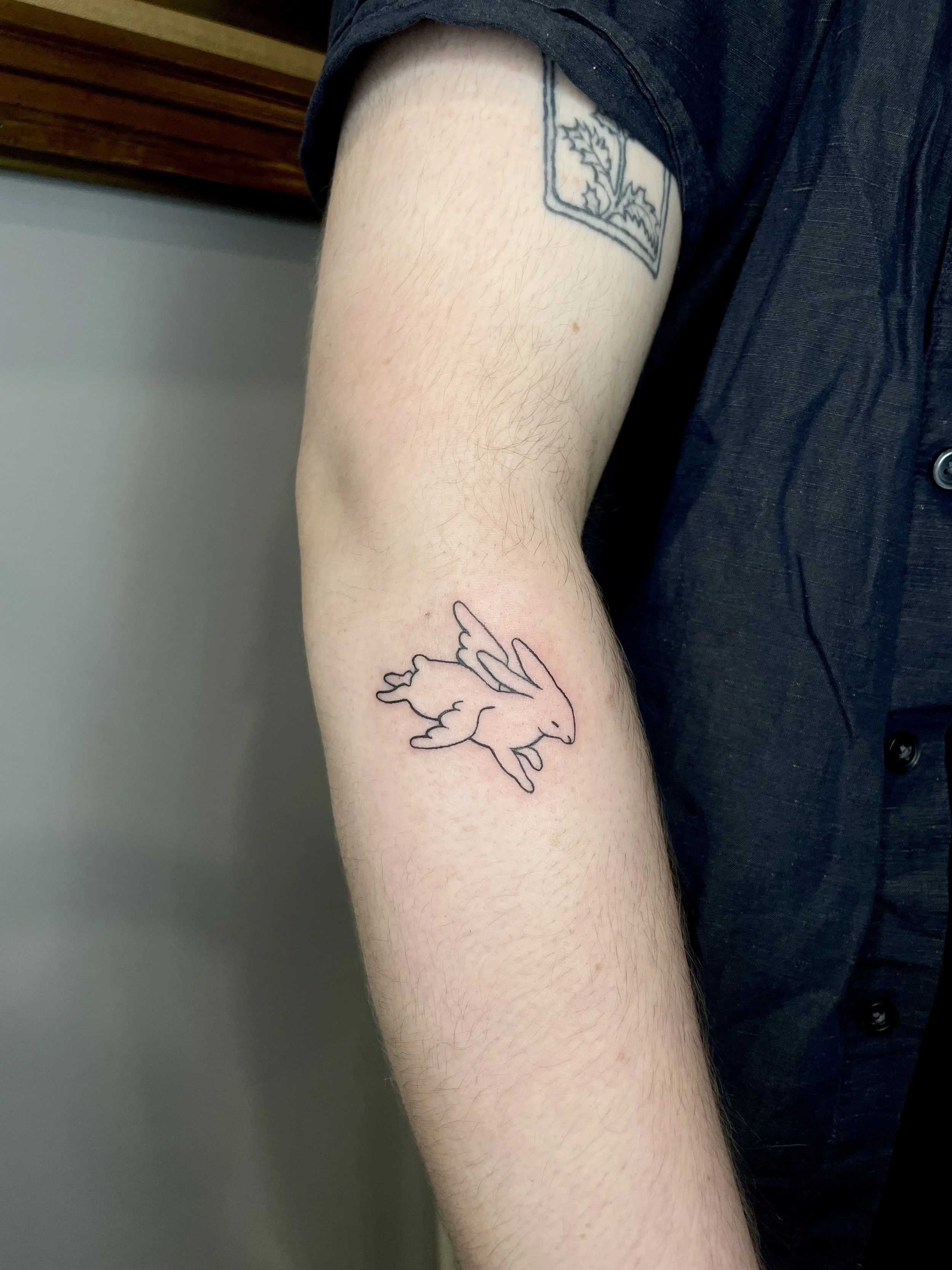 winged bunny - soren.jpg