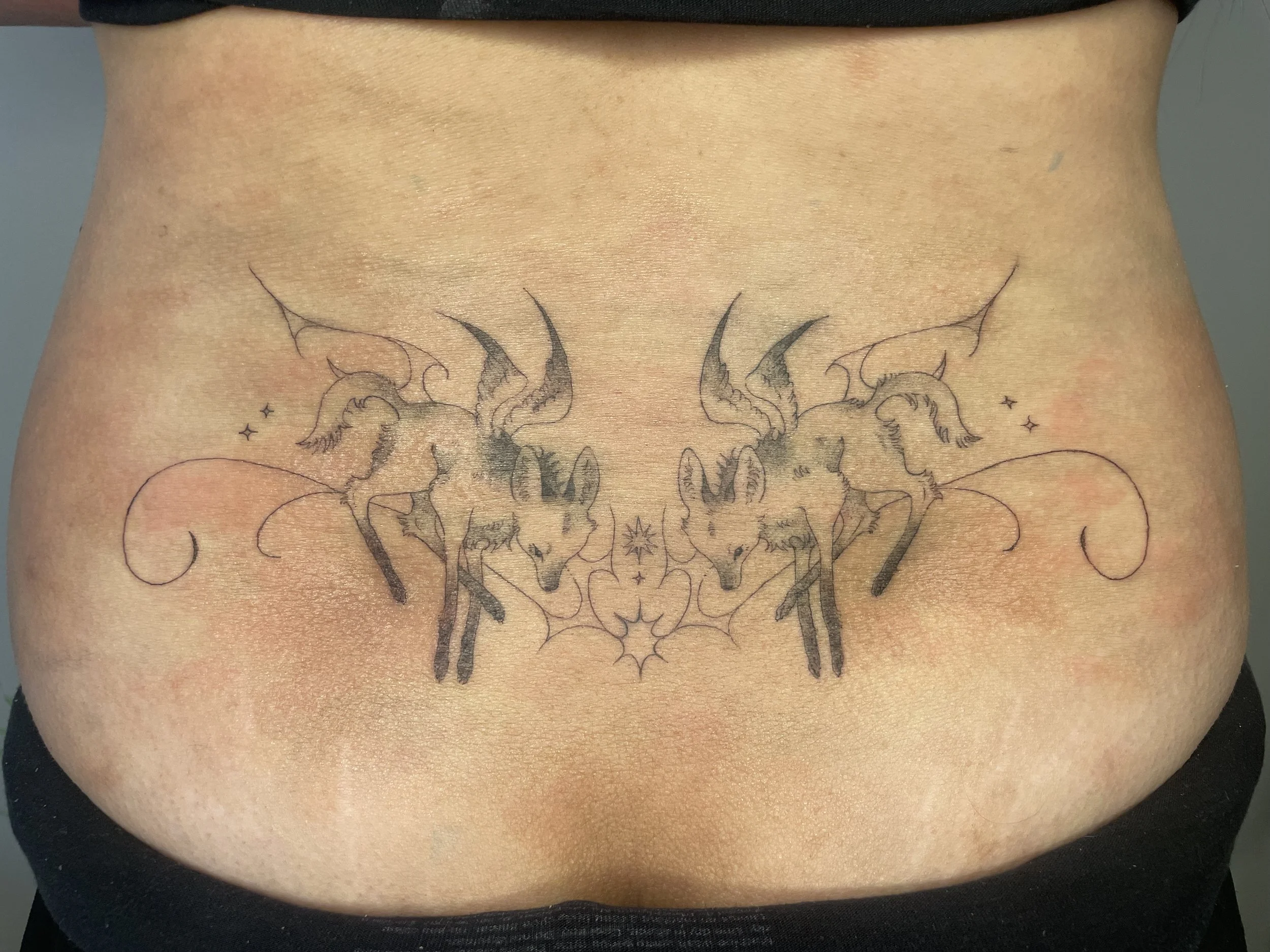 maned wolf lower back.jpg