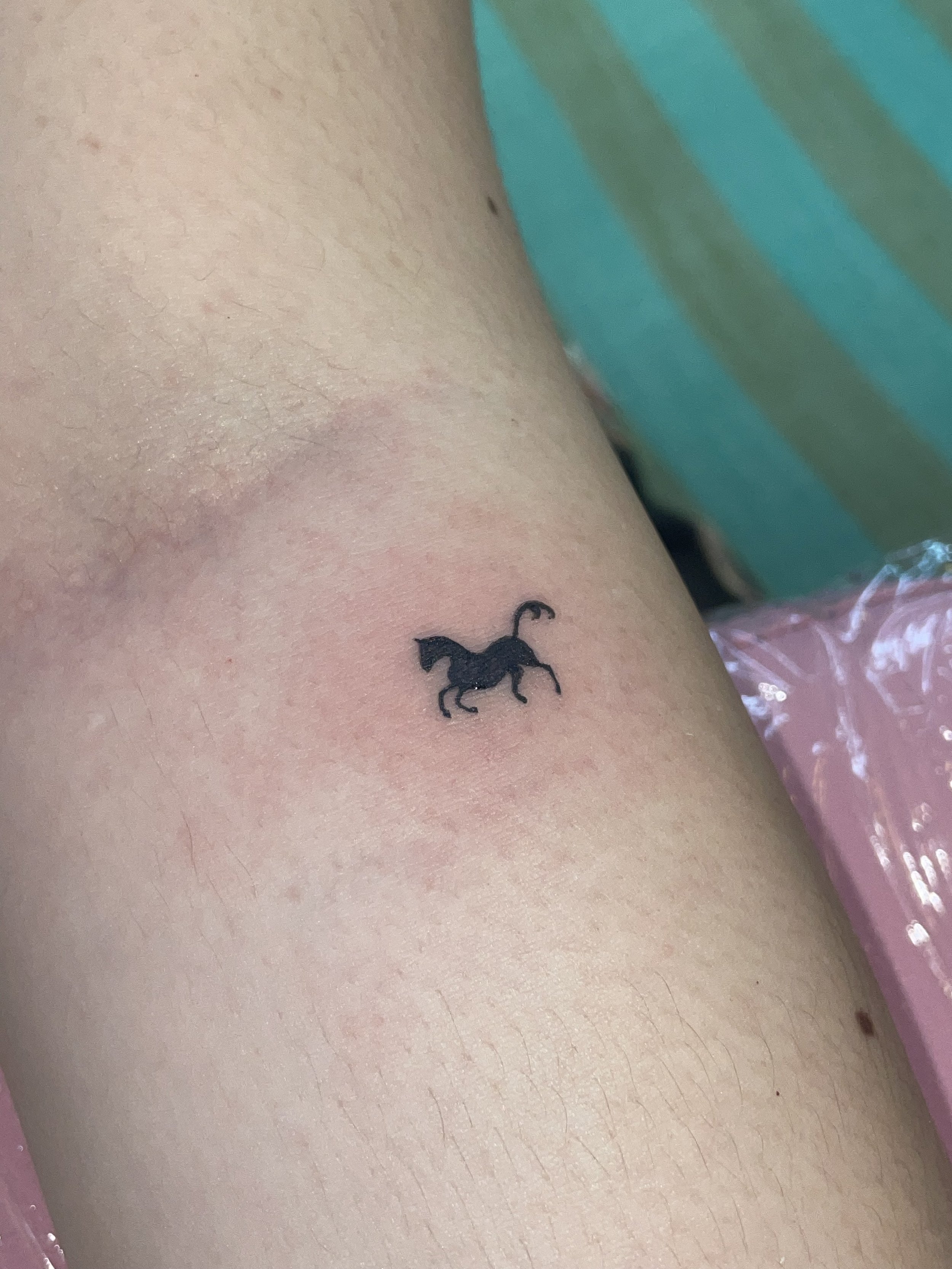 tiny horse arm.jpg