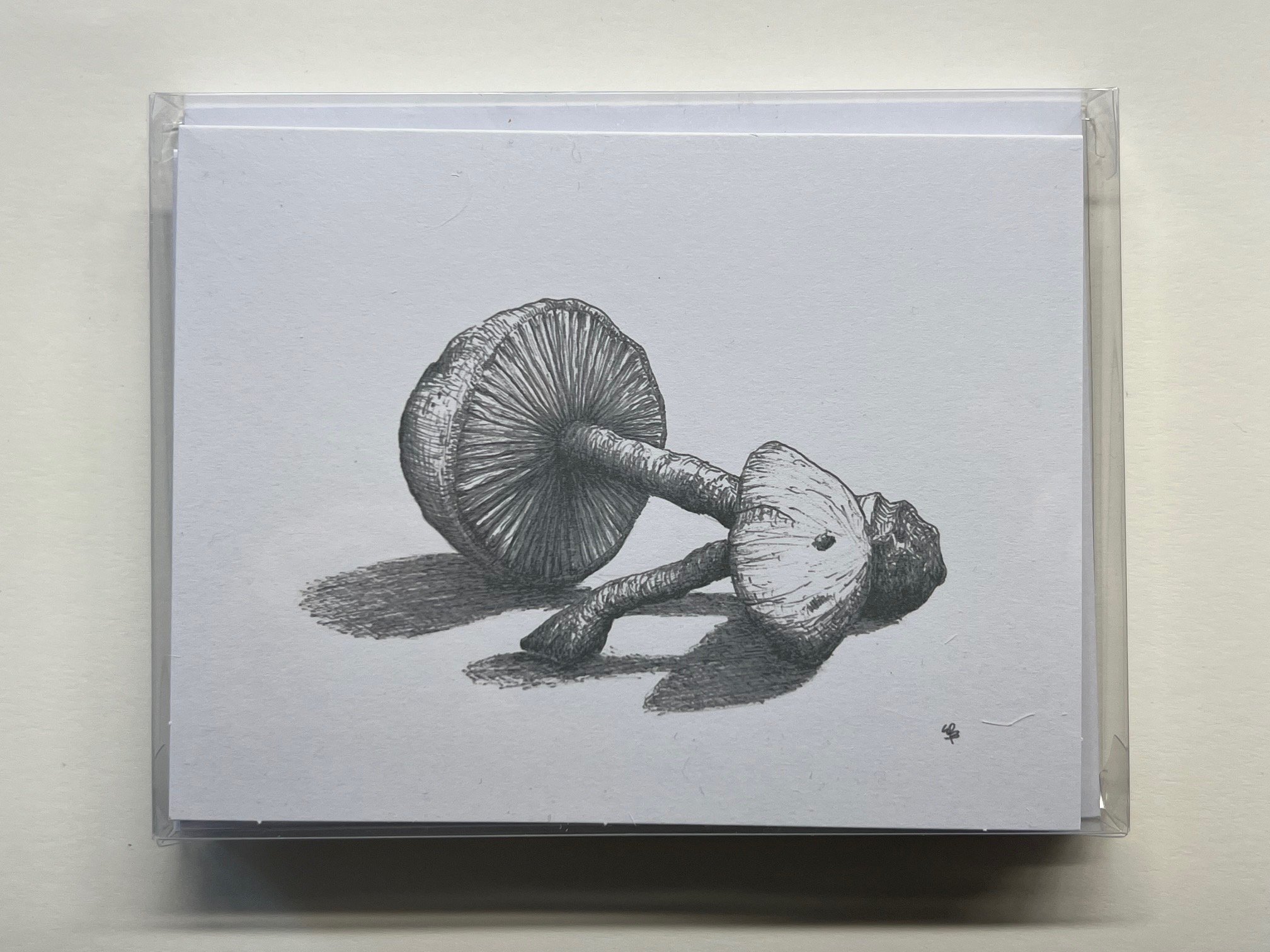 Mushrooms notecards