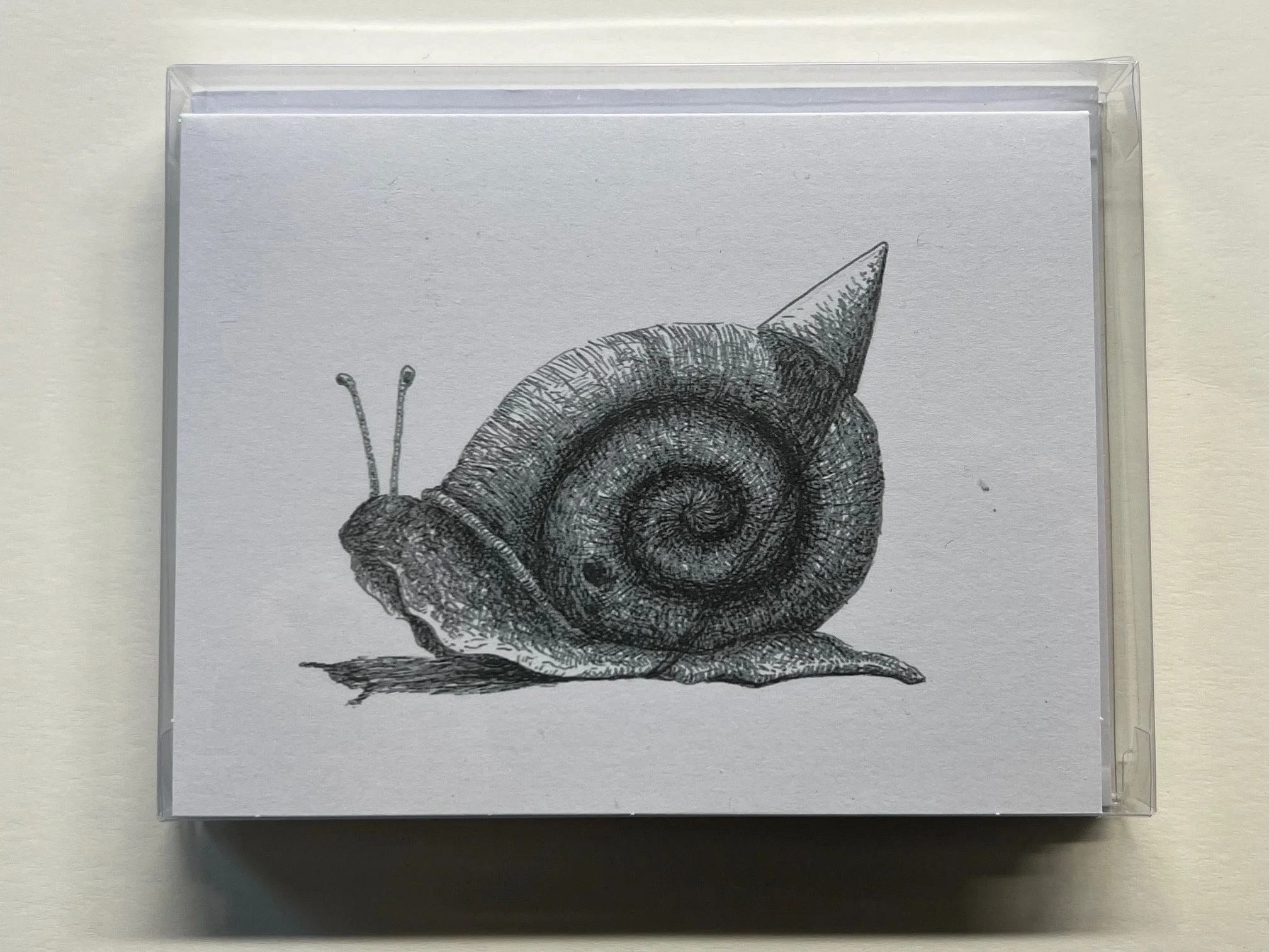 Snail notecards