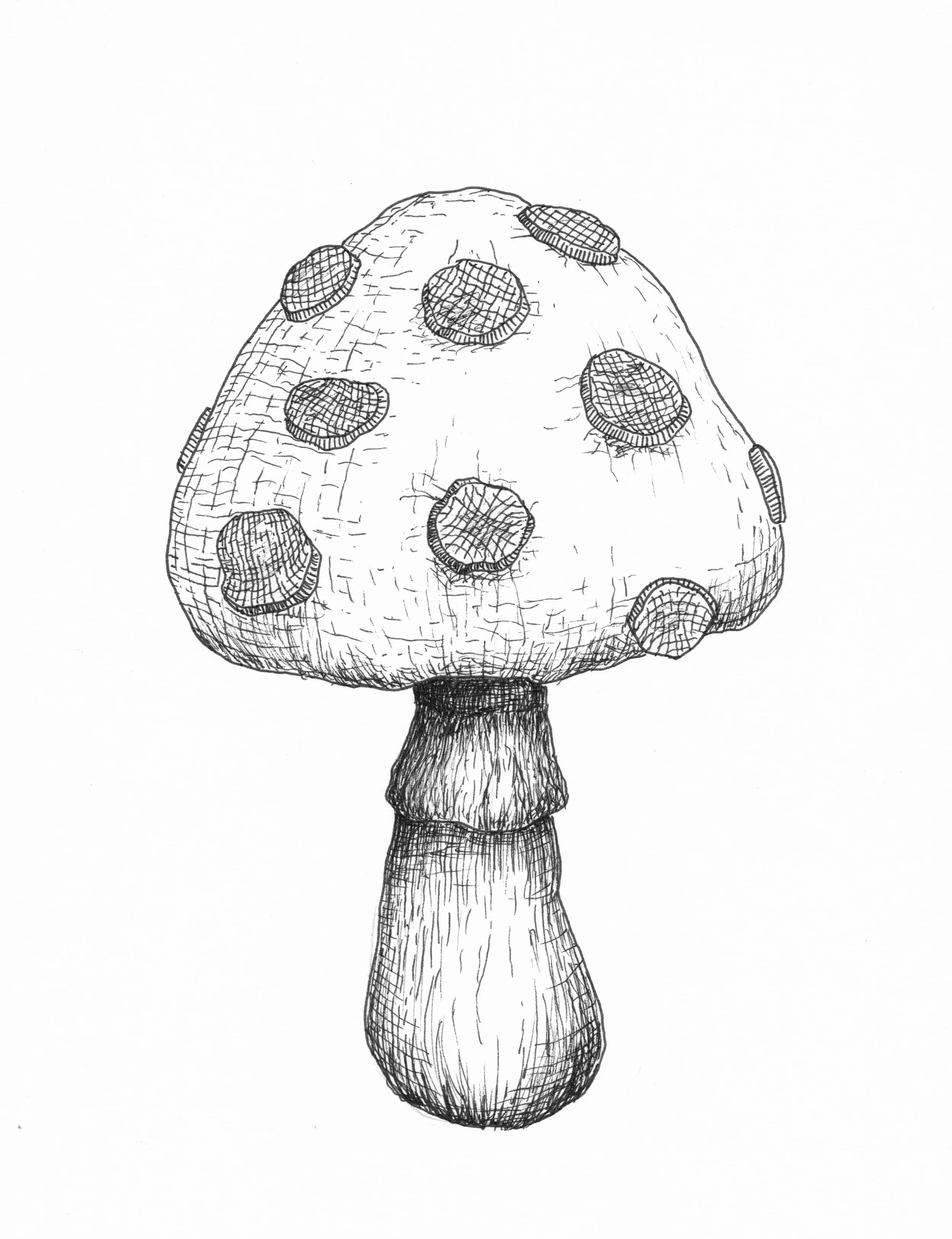 Mushroom pepperoni.jpg
