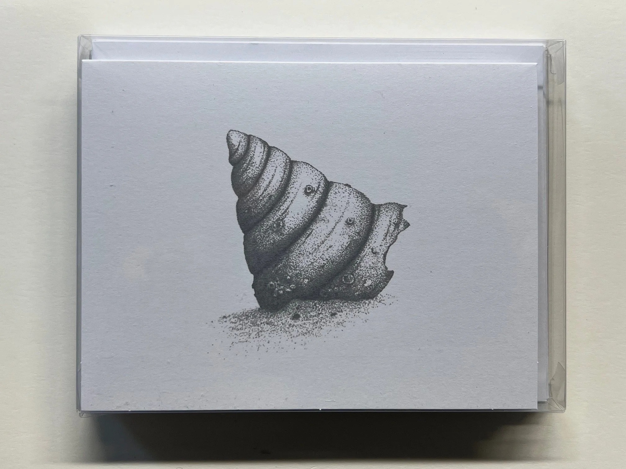 Spiral Shell notecards