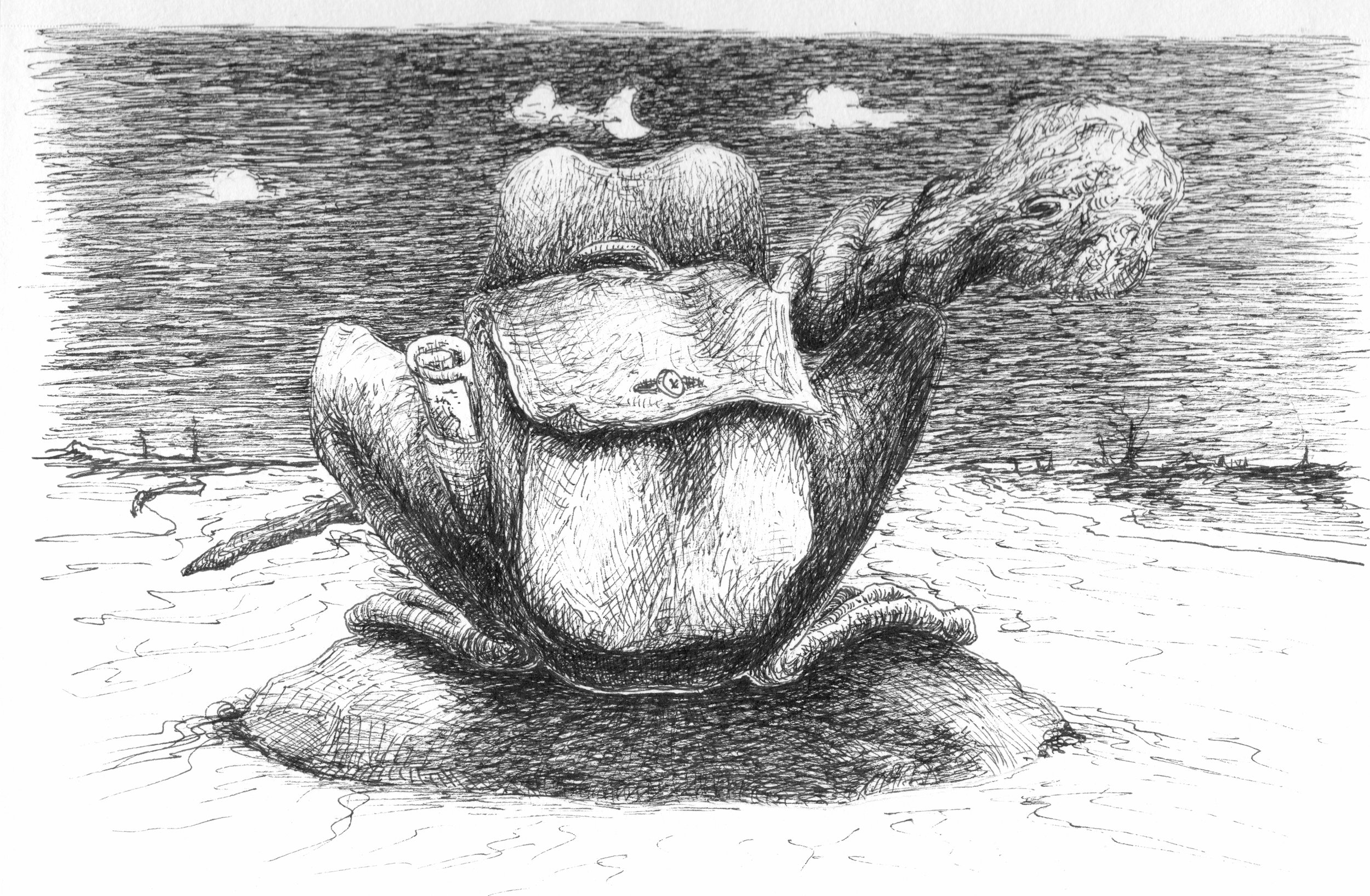 Adventure Frog 1.jpg