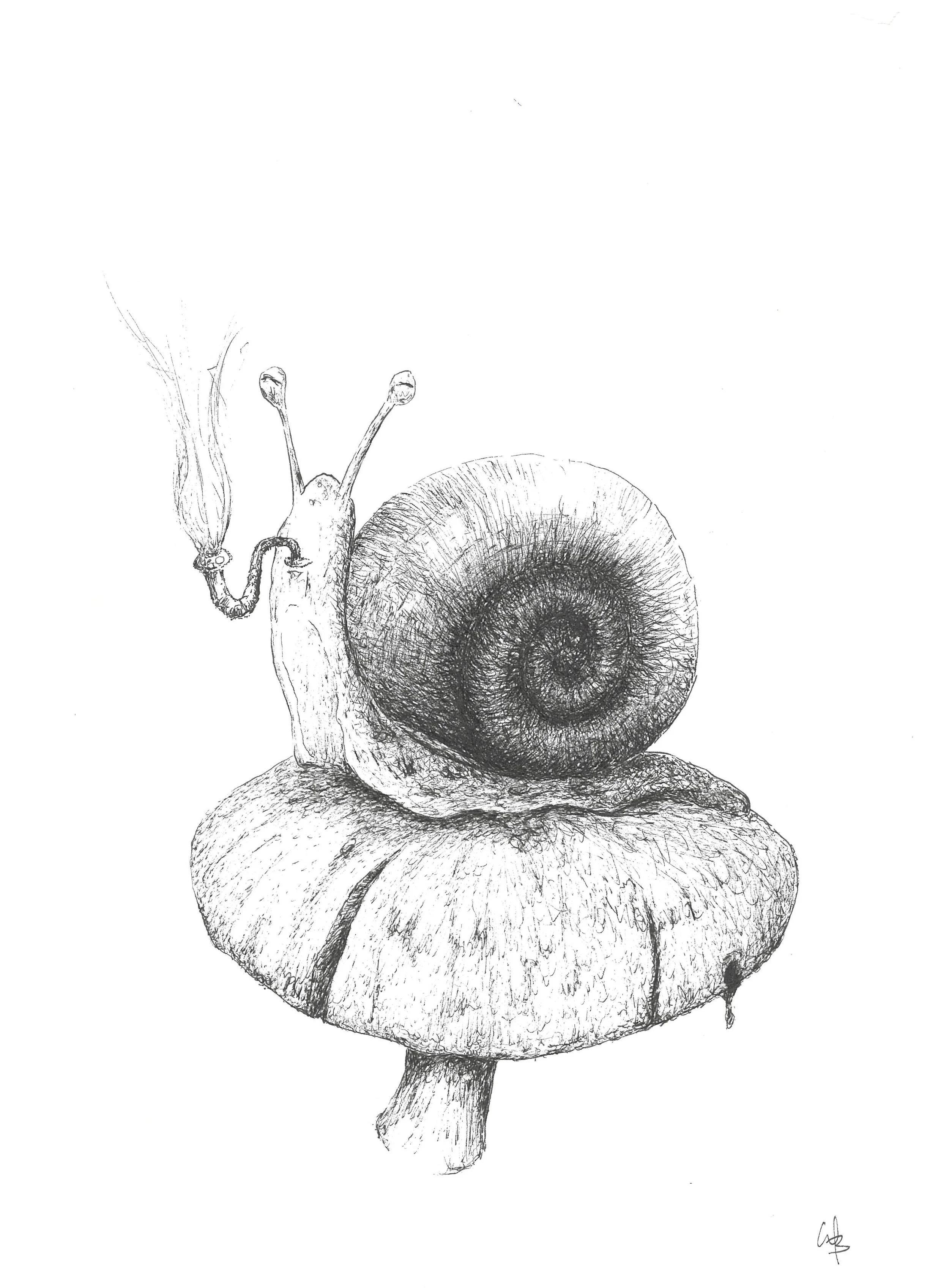 Thoughts- Pen and Ink 8x10 inches.jpg