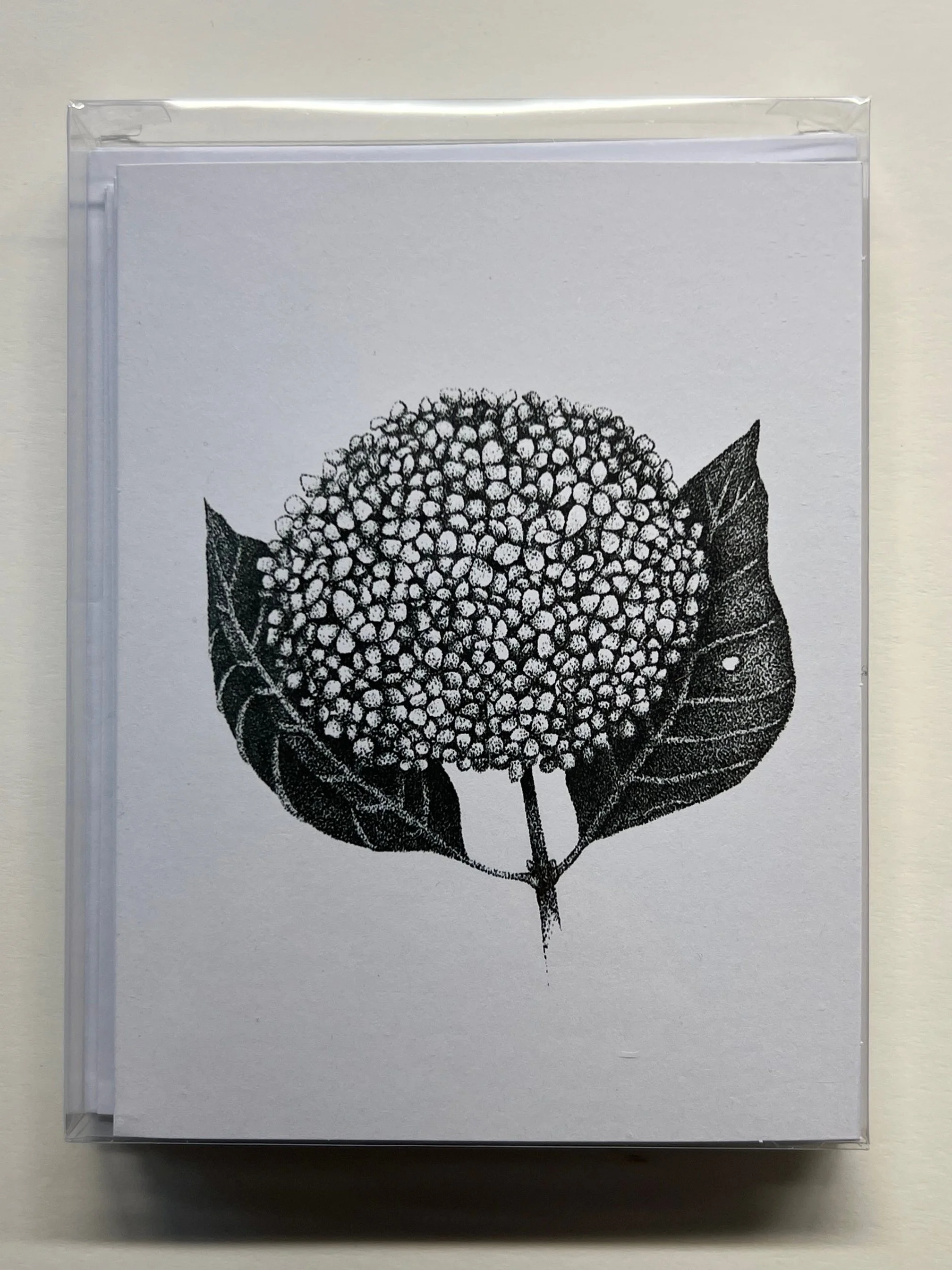 Hydrangea notecards