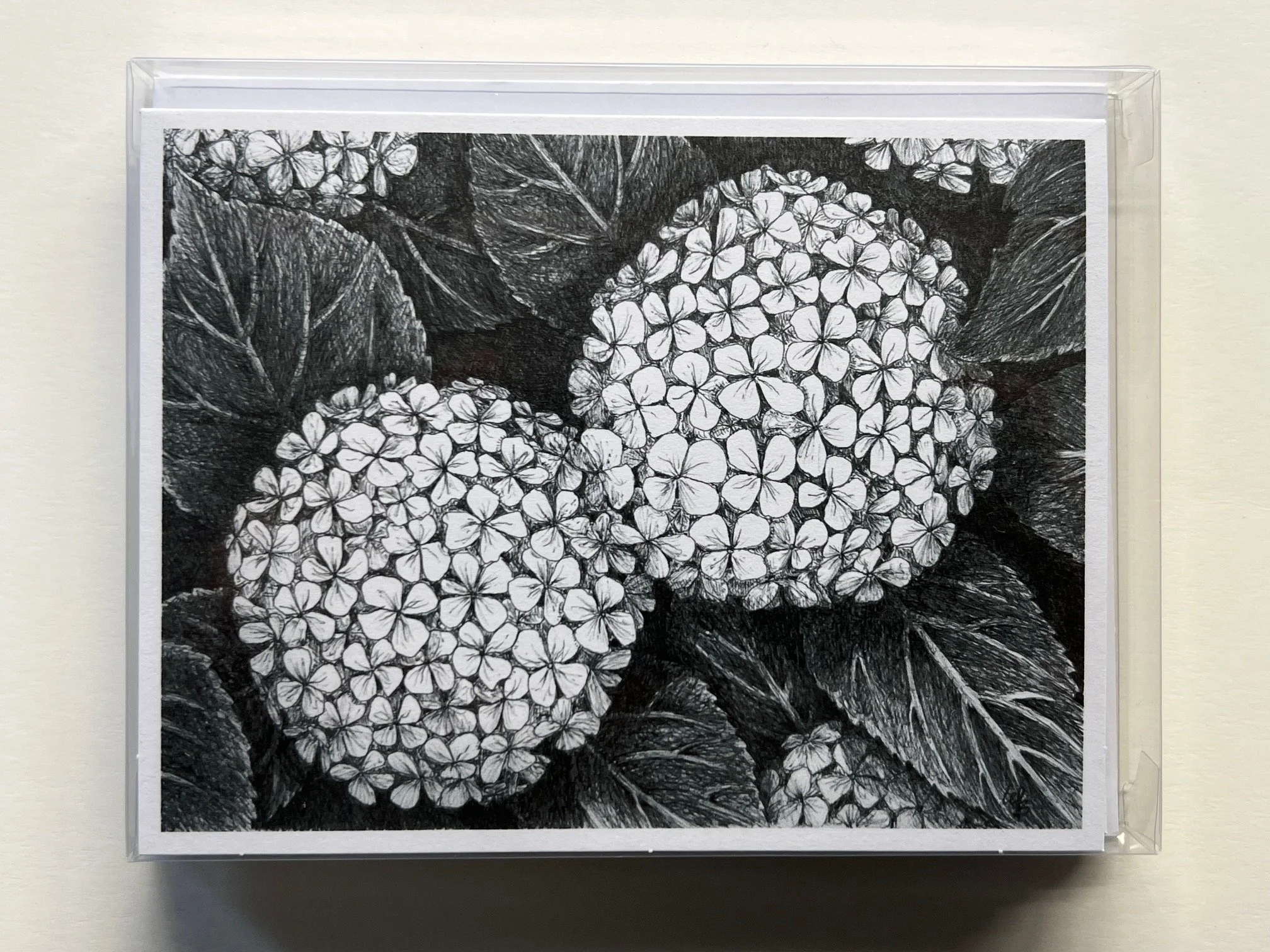 Double Hydrangea Notecards