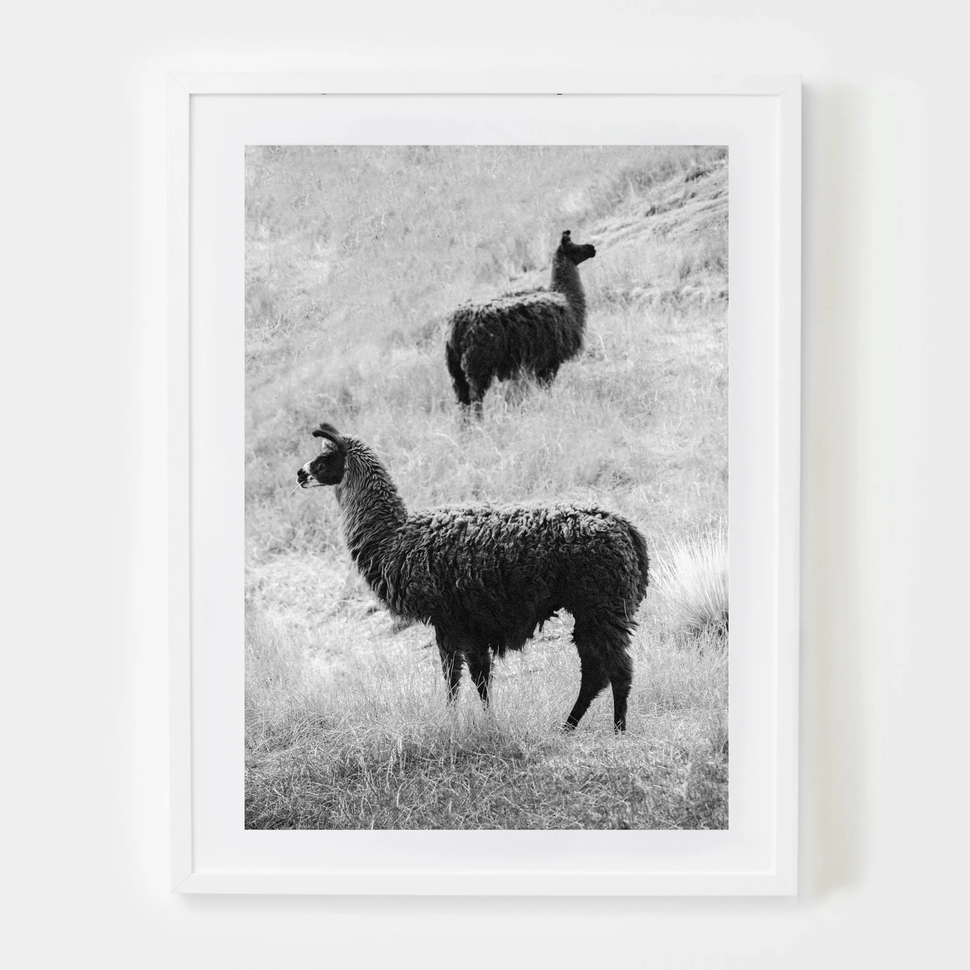 MIRRORED MOMENTS - B&W