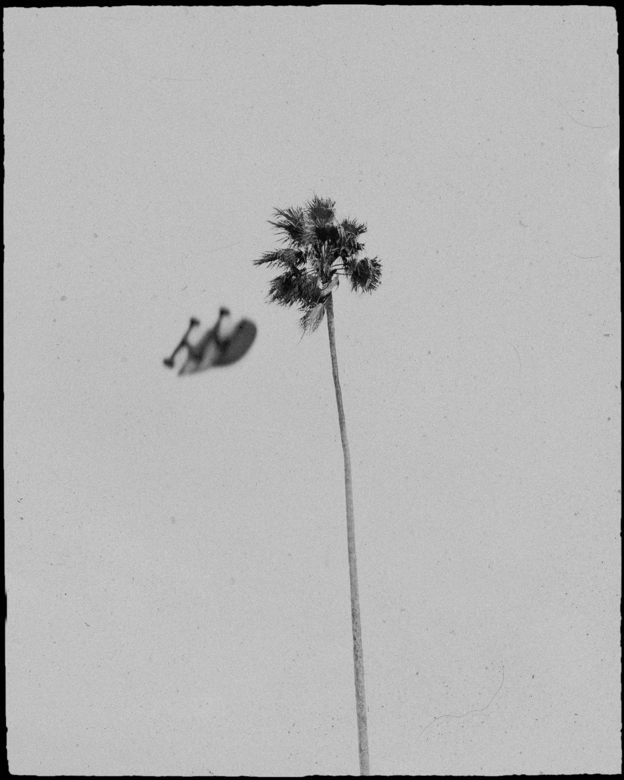 TUXTURAL_III  2x3-6.jpg