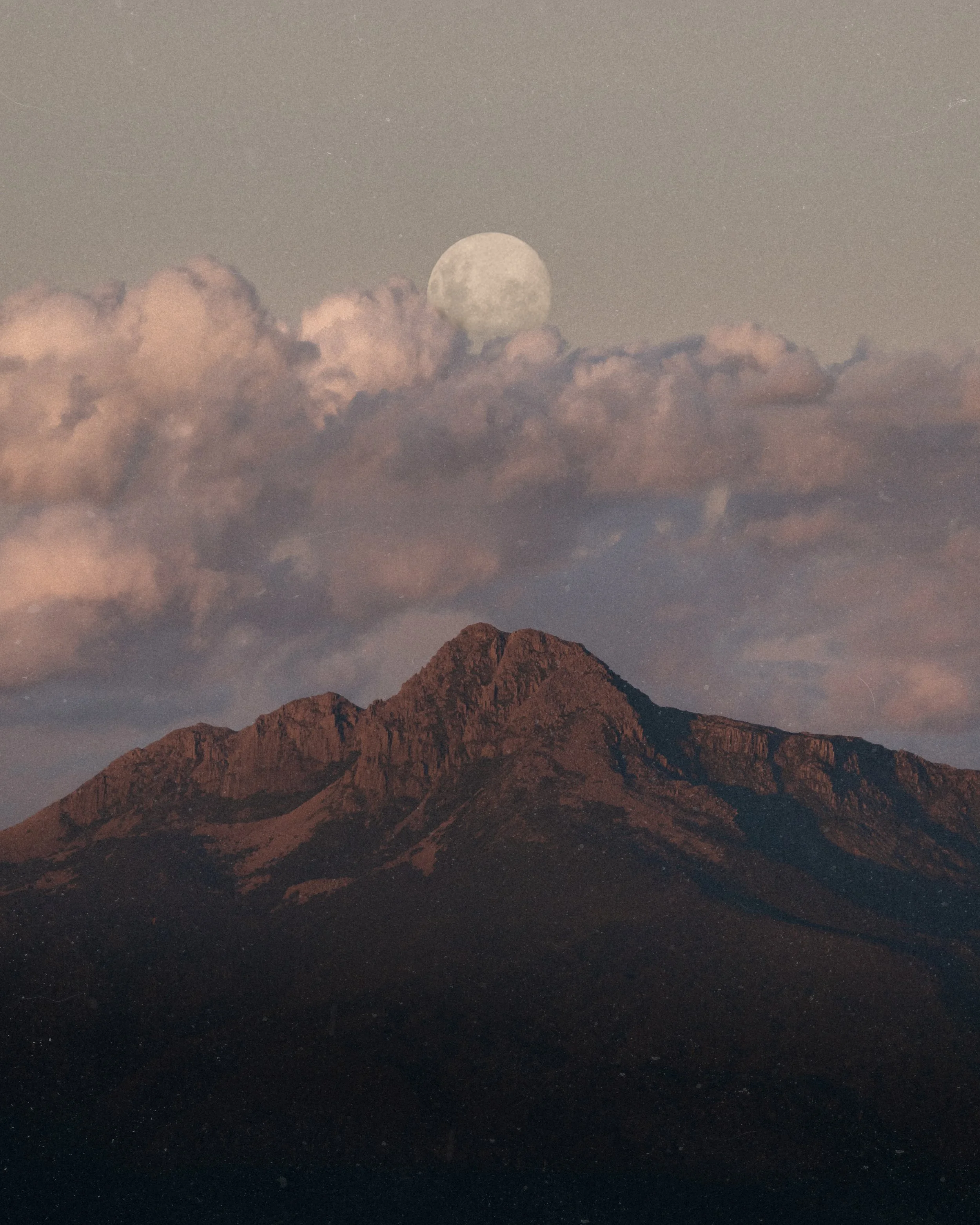 AR409589-Edit-Edit-Edit (2).jpg