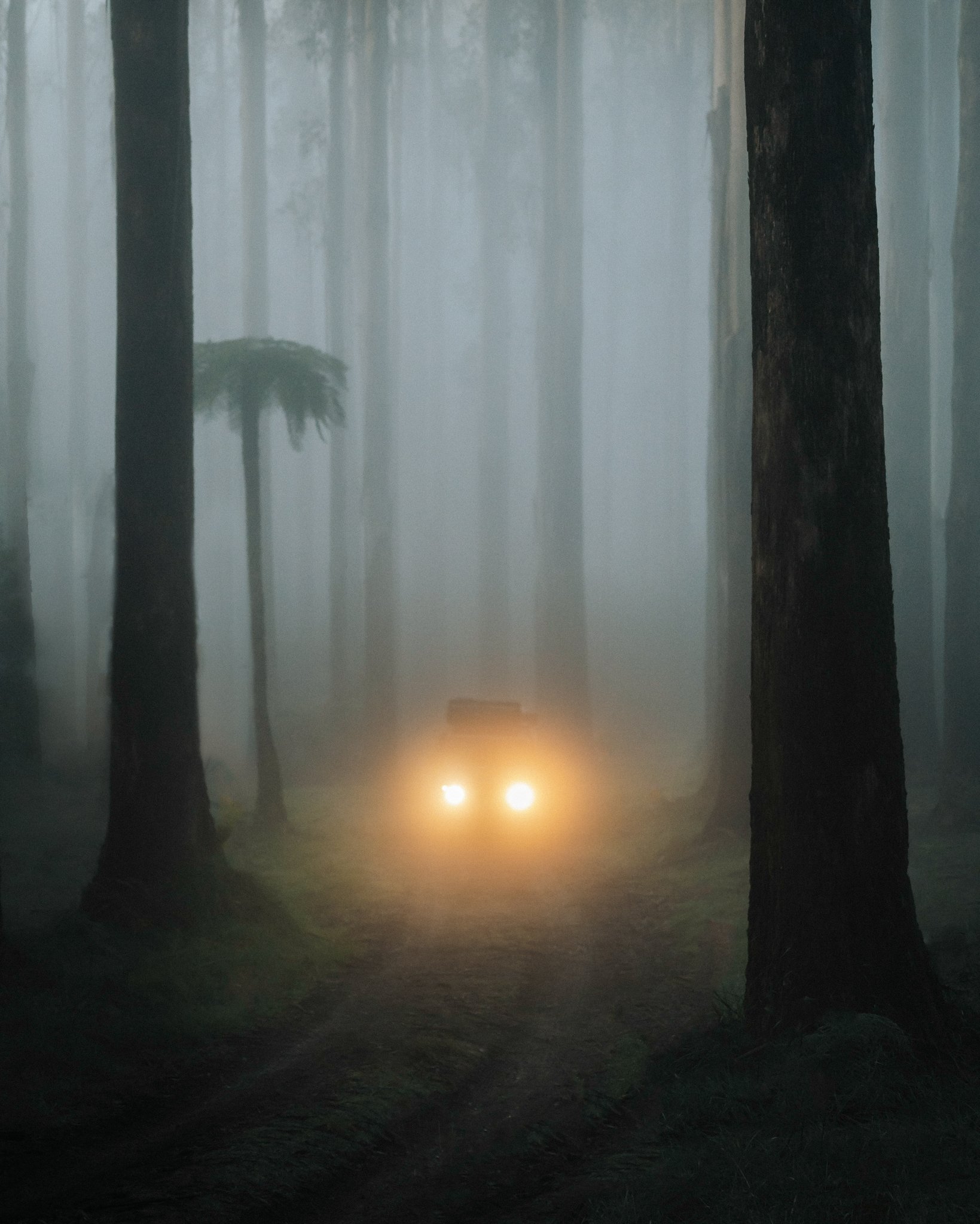 AIN00160-Edit (2).jpg