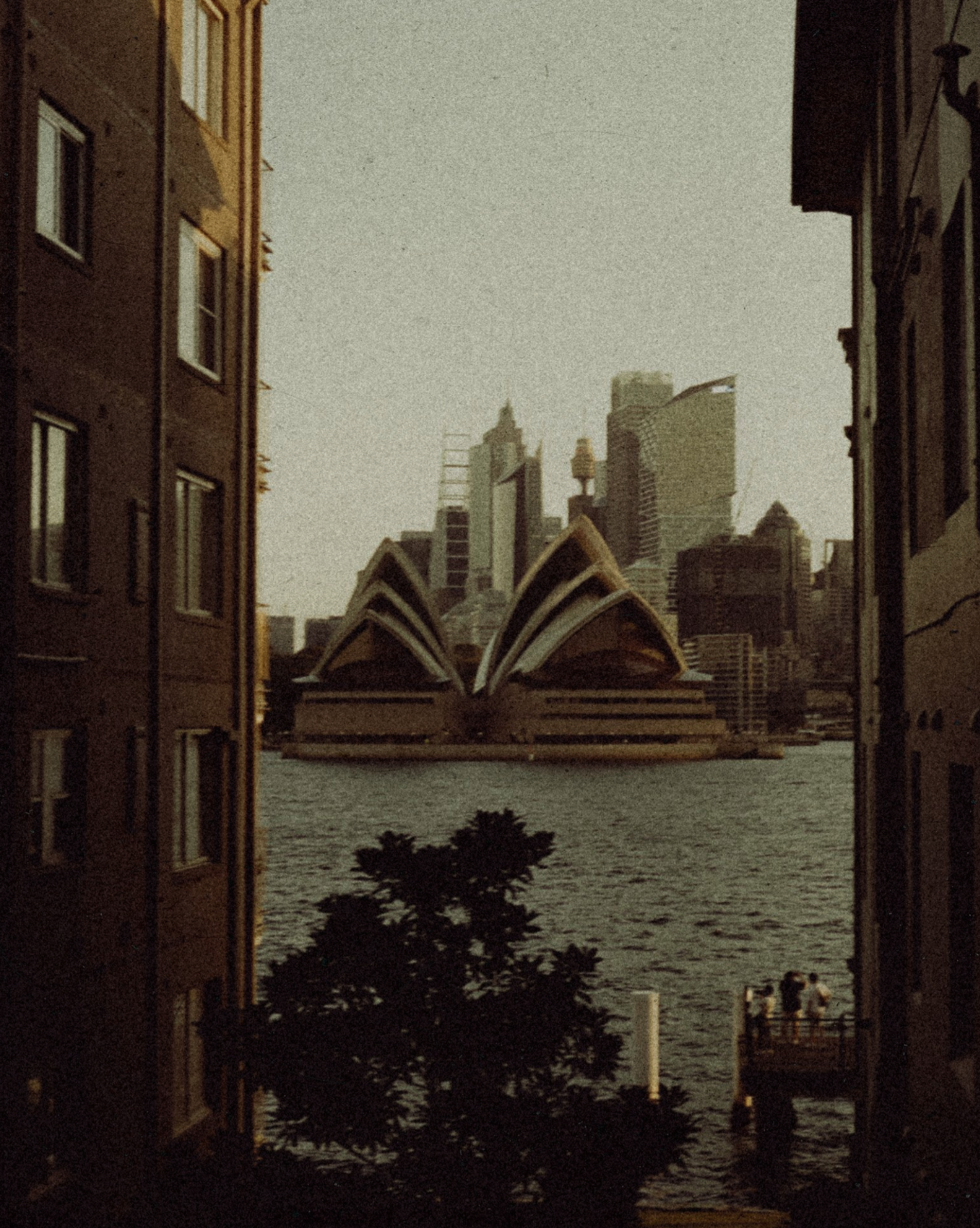 Screenshot 2025-04-04 at 9.50.46 am.png