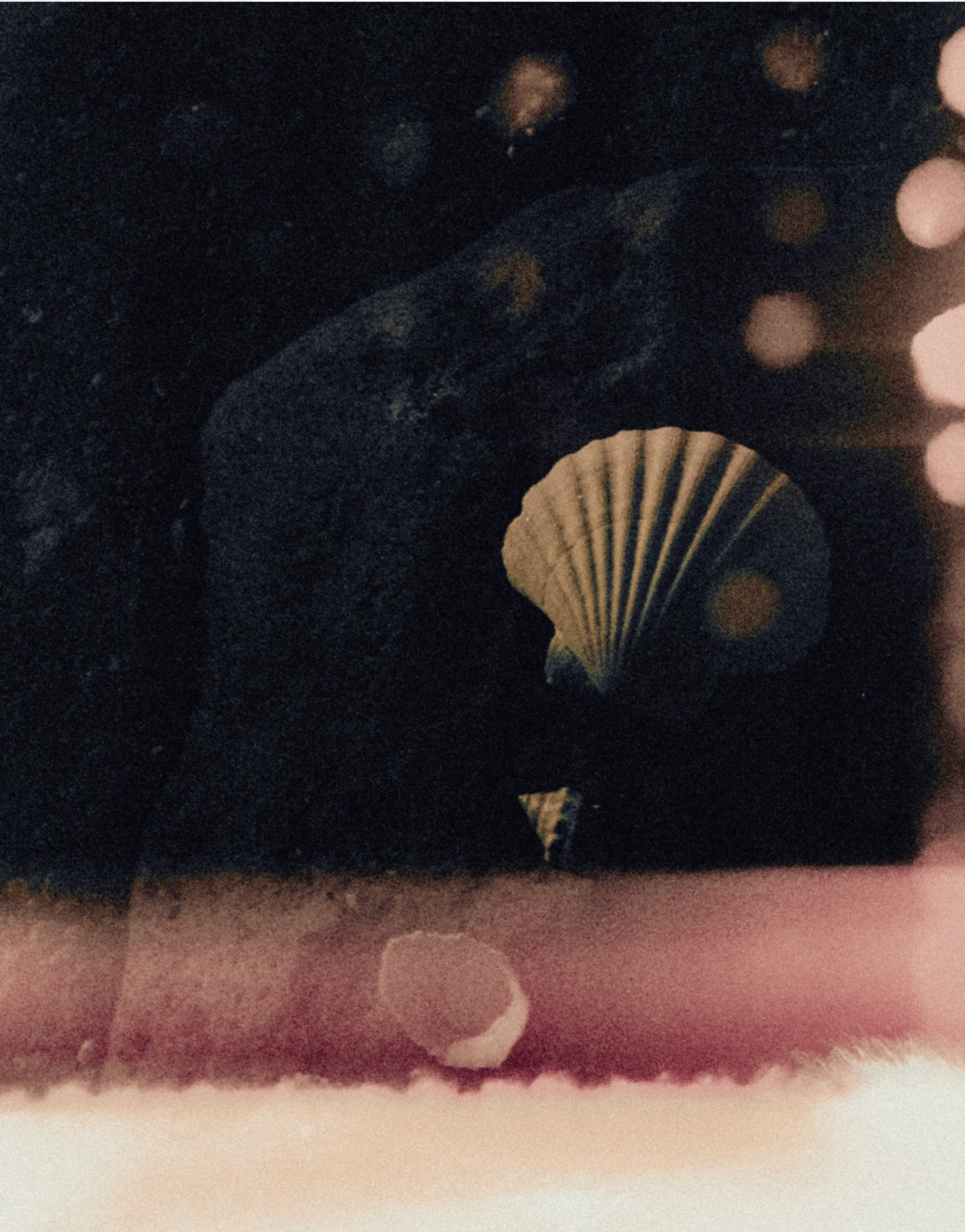 Screenshot 2025-07-06 at 9.24.58 am.png