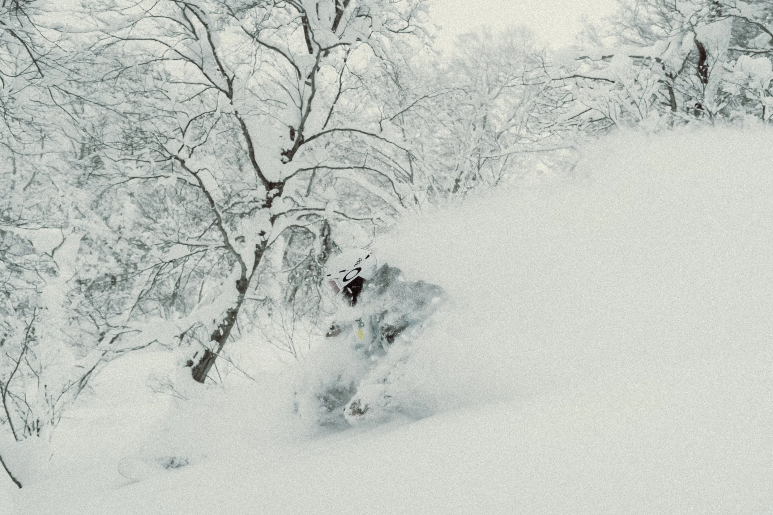 POWDER RECON JAPAN