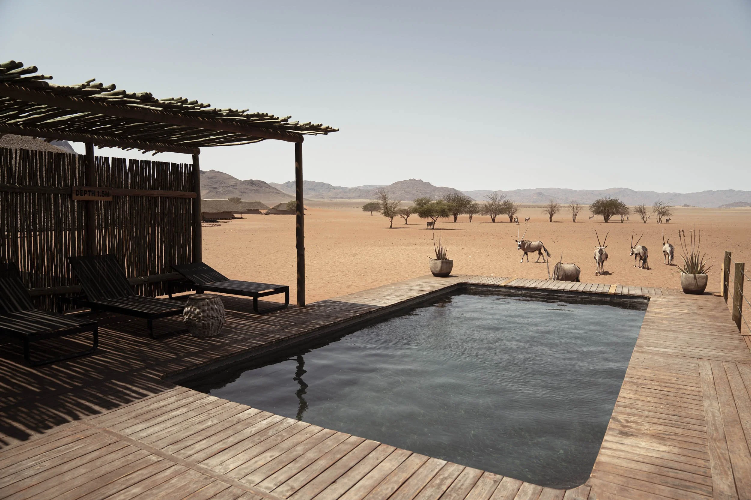 NATURAL SELECTION TRAVEL