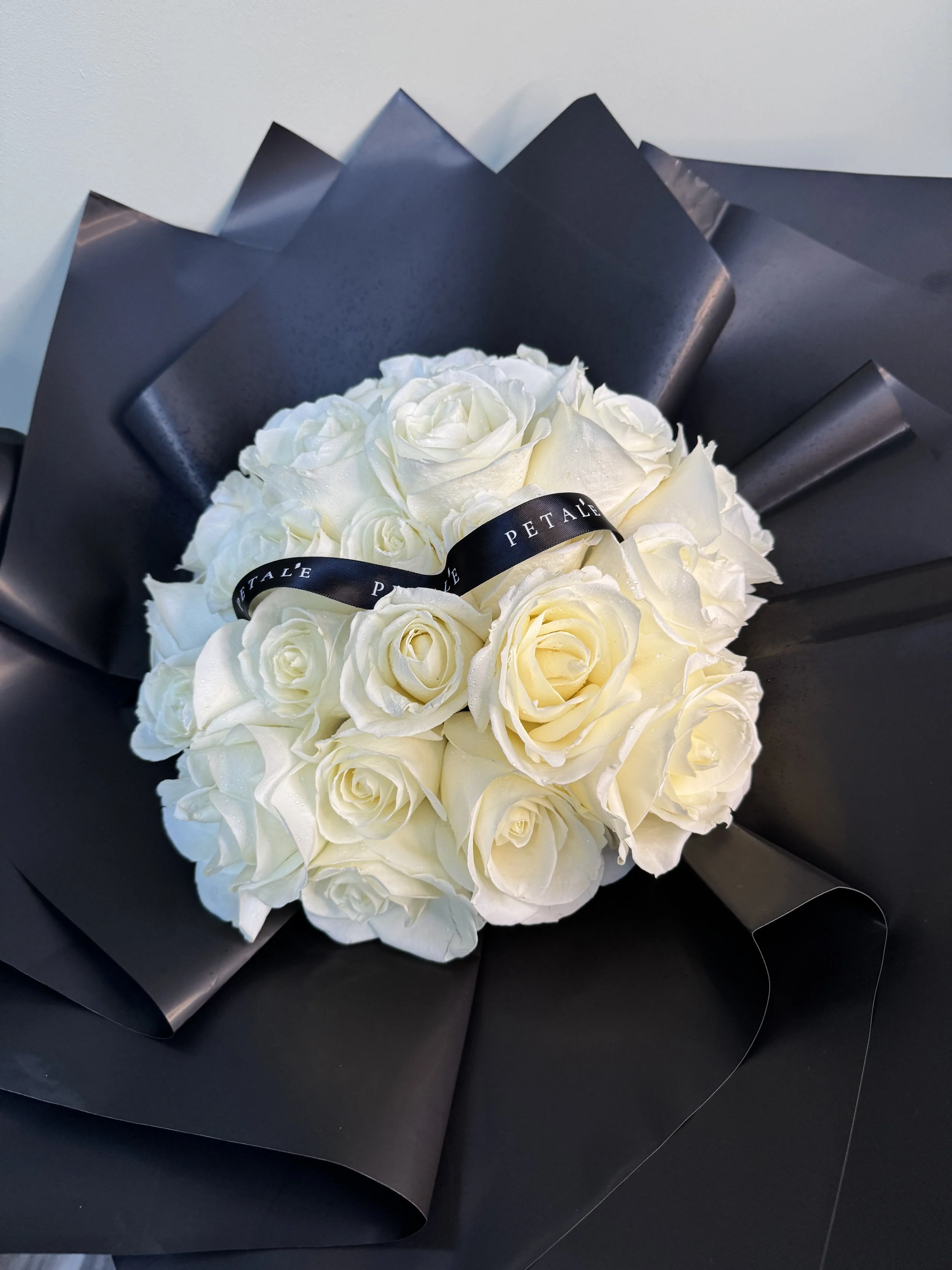 IMG_0459.jpeg (Copy)