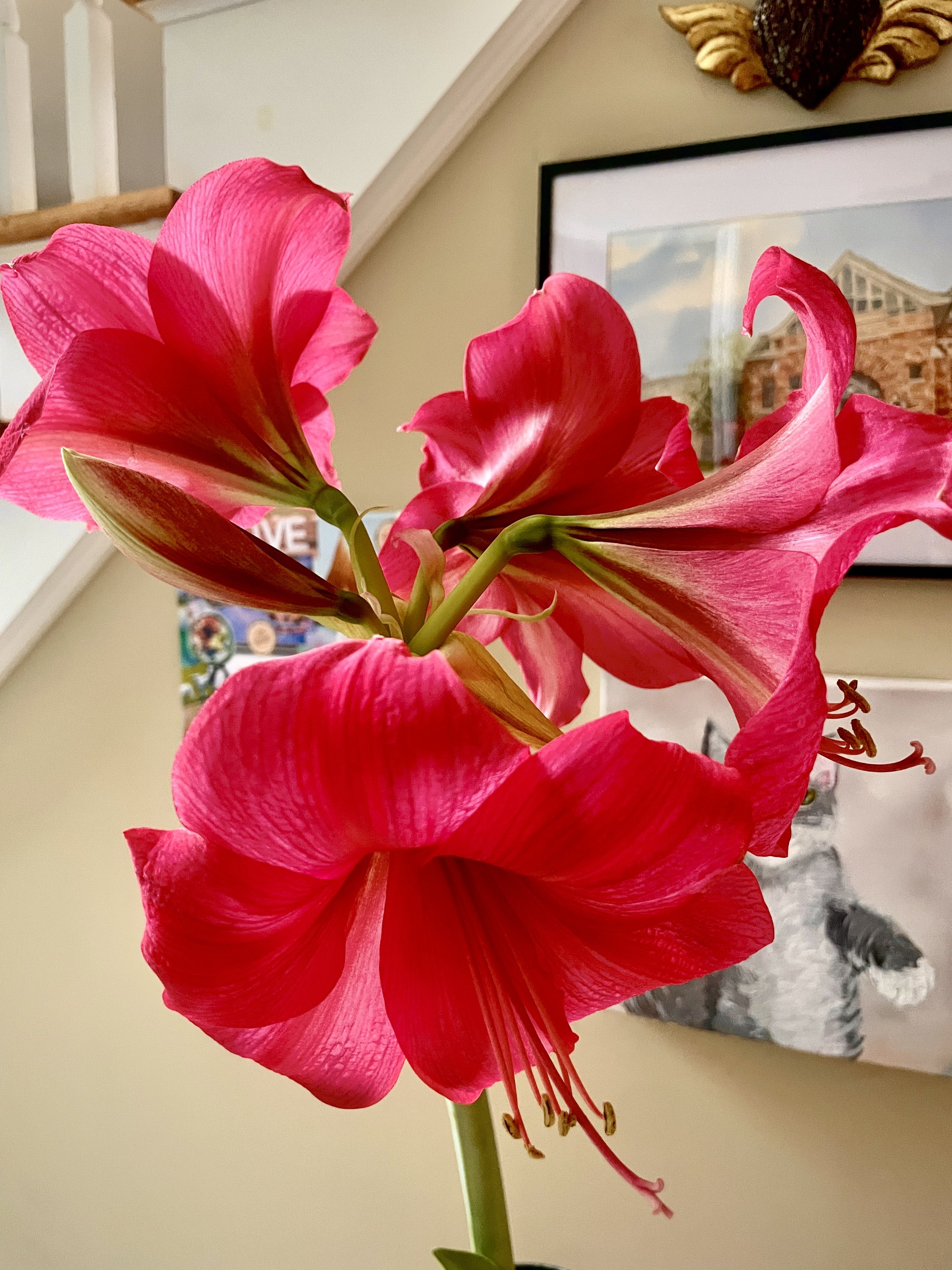 A Lesson in the Long Winter Bloom