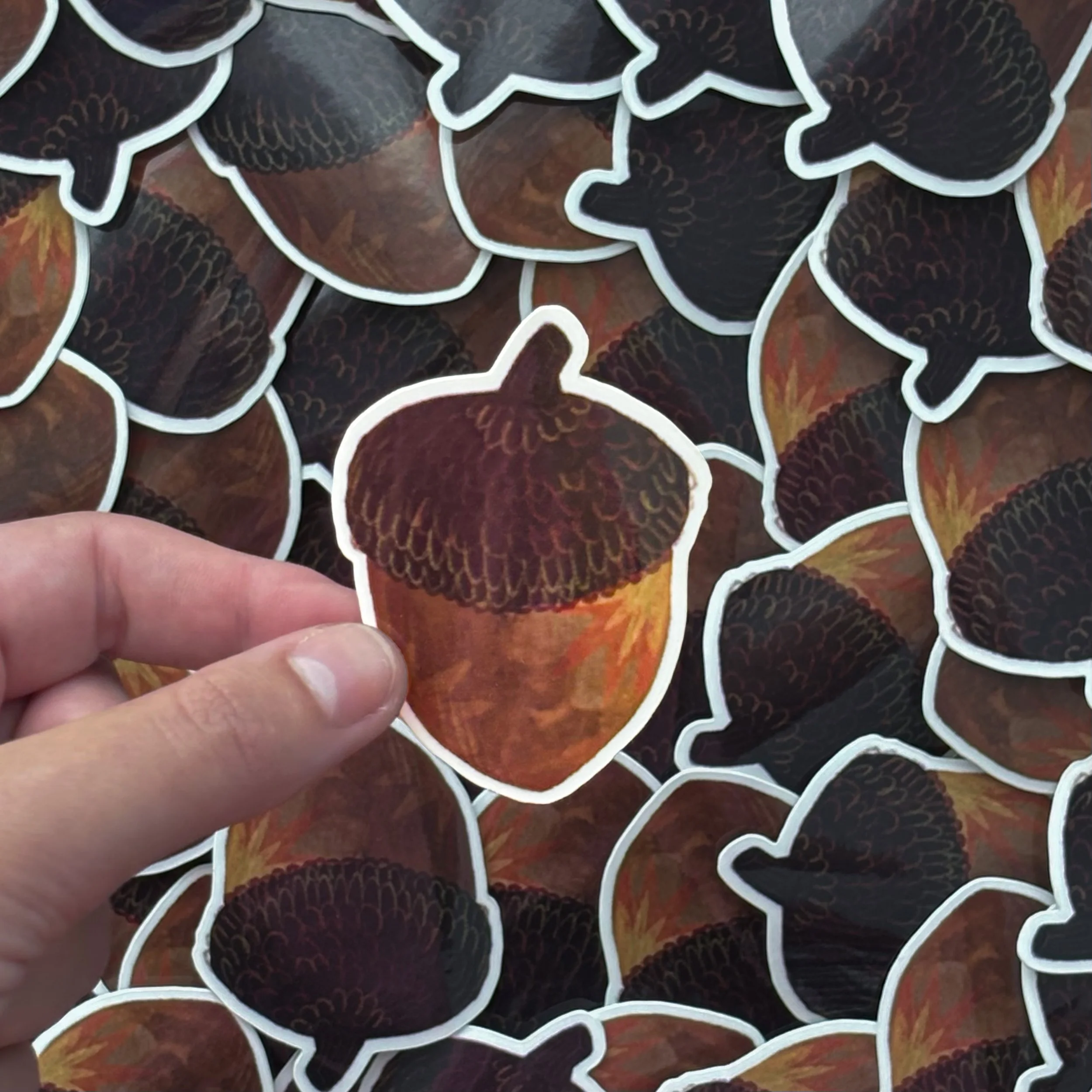 September Acorn2sticker pic.jpg