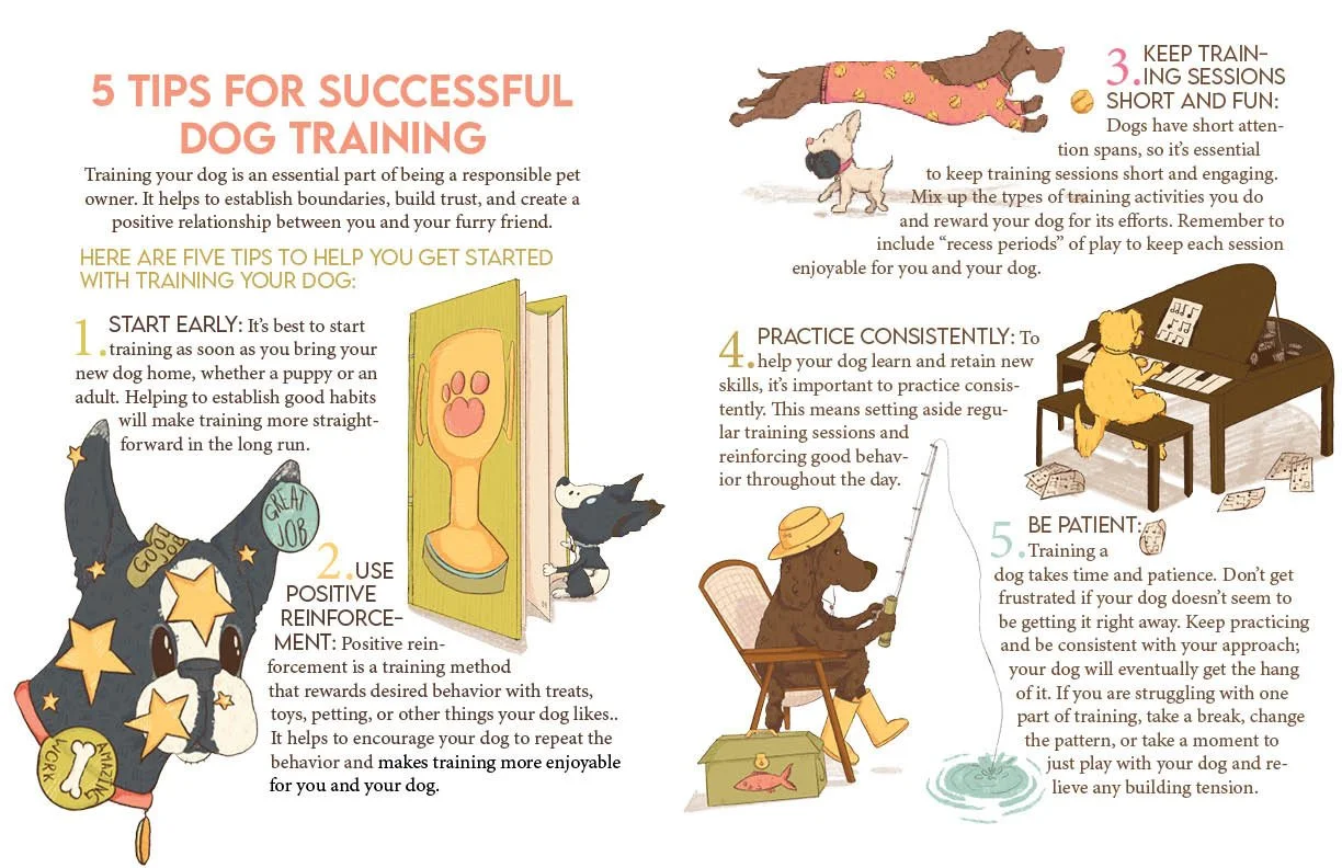 SAV_202520_ILLU325_AnnabelleCurran_A3_DogTrainingSpotsLayout.jpg
