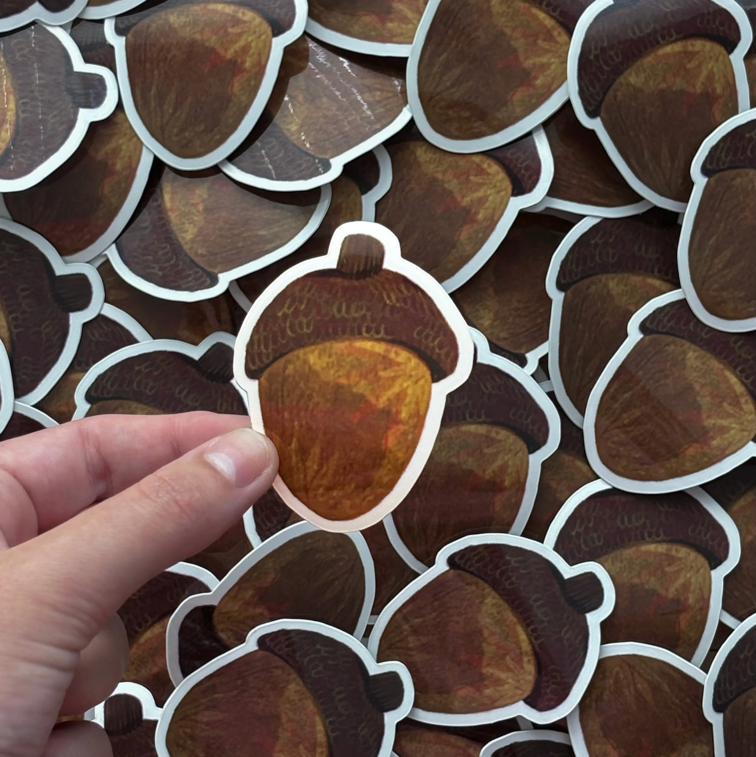 September acorn1sticker pic.jpg