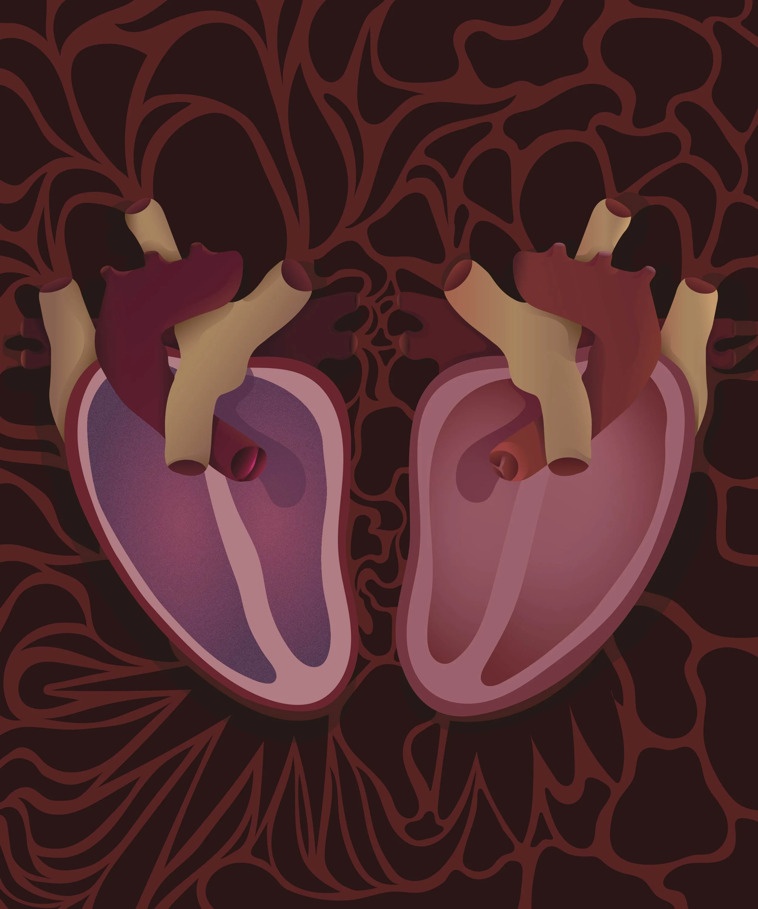 SAV202510_lLLU225_AnnabelleCurran_A1_Bicuspid.jpg