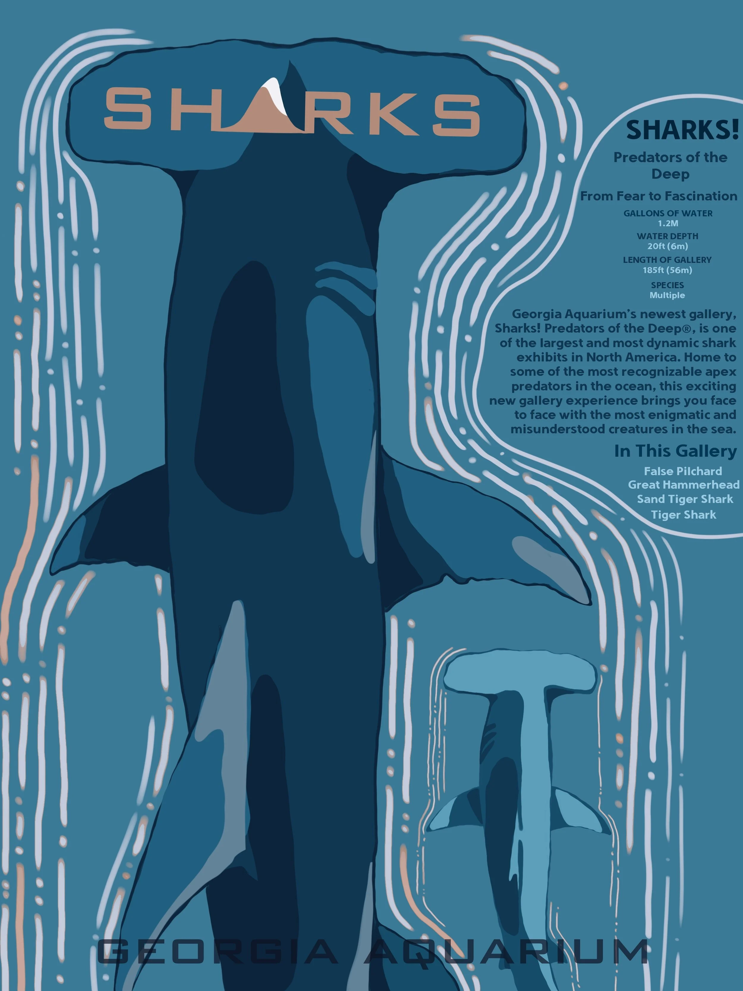 SAV 202420_lllu100_AnnabelleCurran_A 3_SHARKSPoster1.jpg