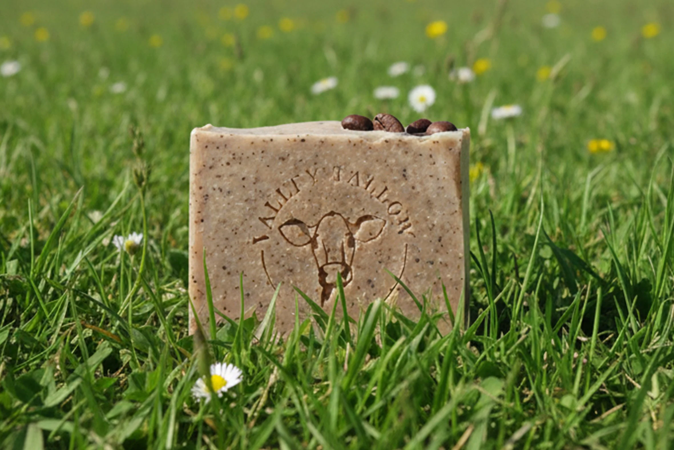 Tea Tree & brewed coffee Soap