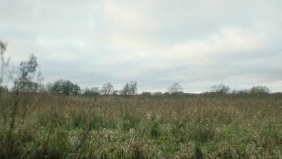 webMD_minecraft_s01_v01.mp4 Comp 1.gif