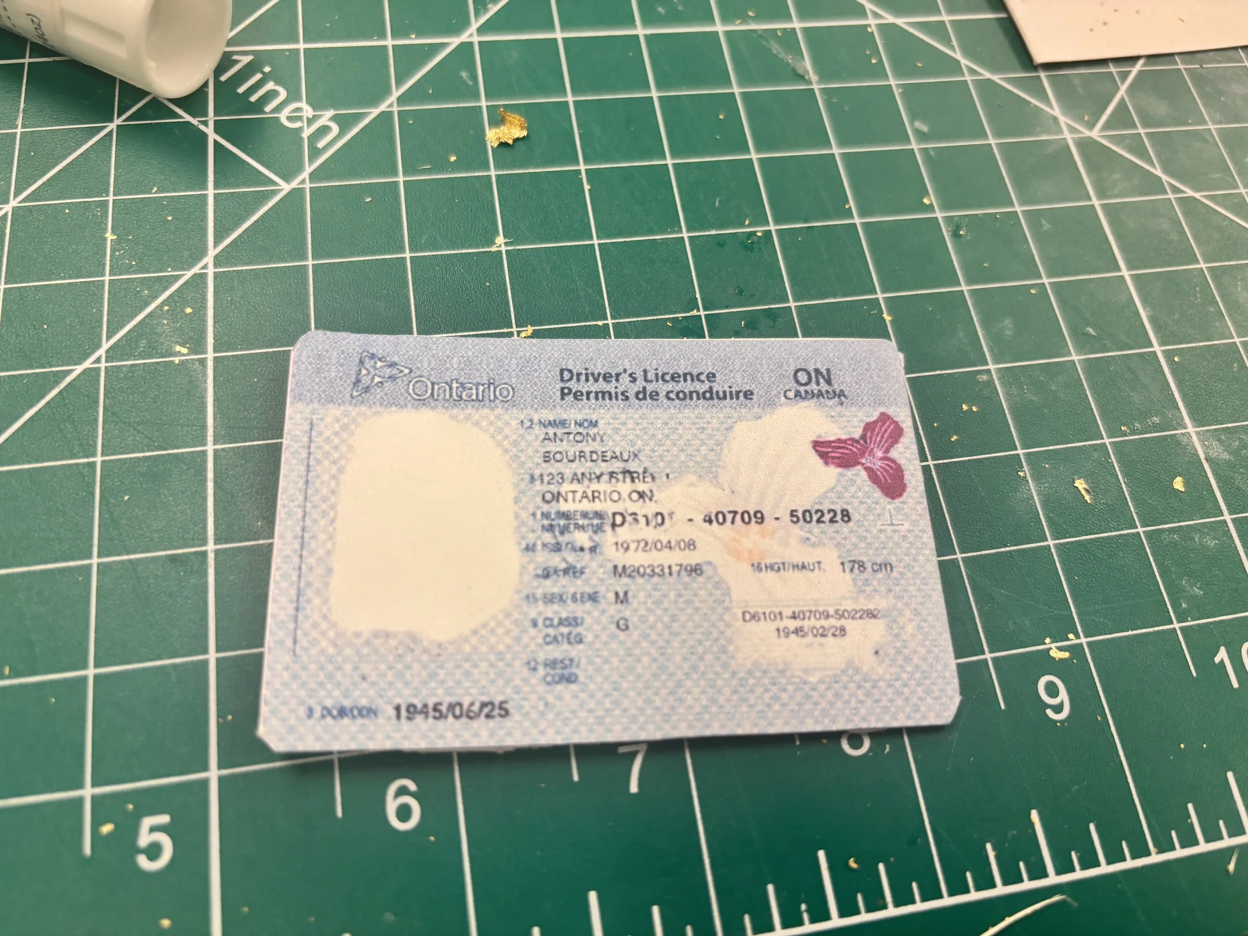 "70s" Ontario drivers license