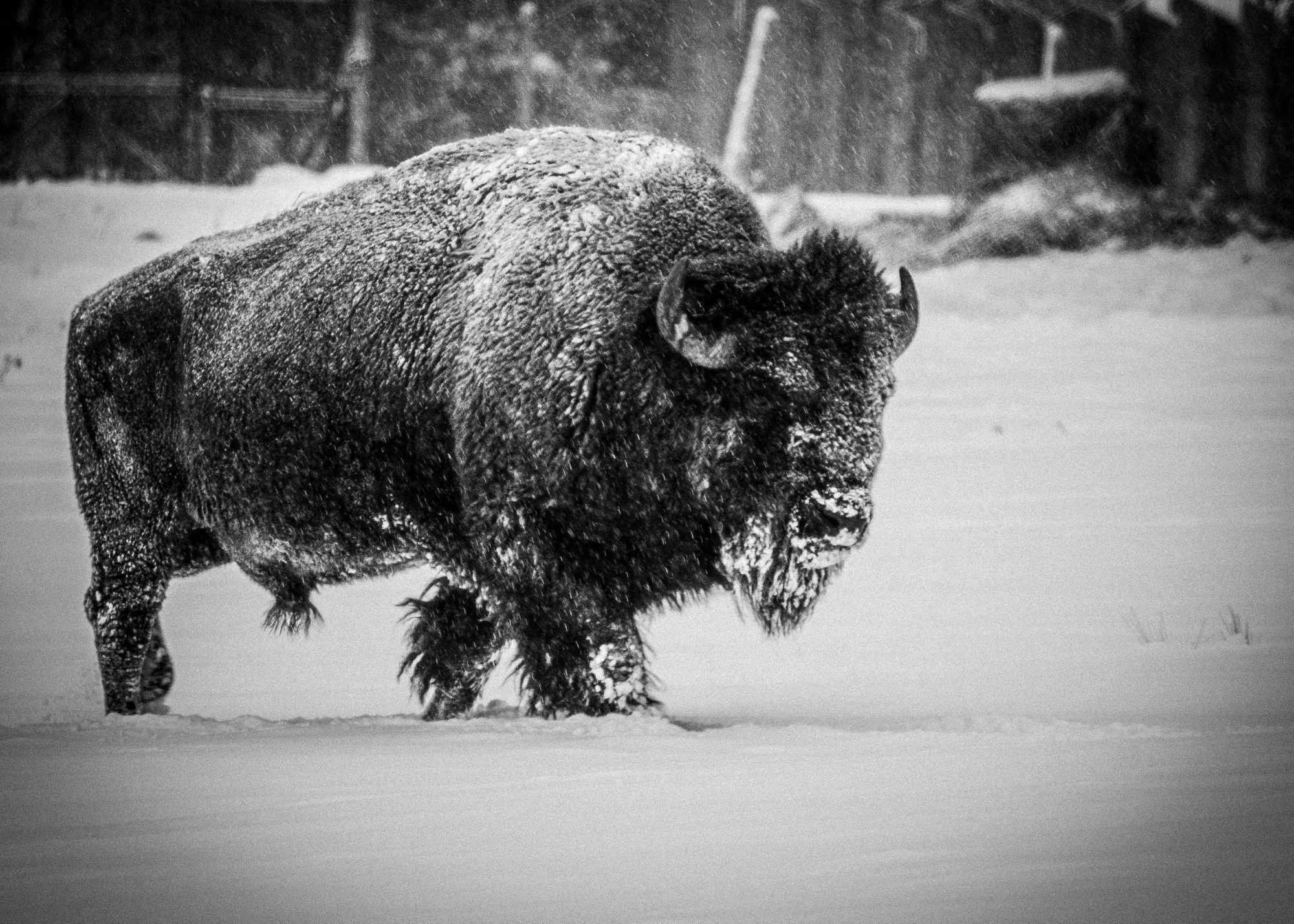 When a Storm Hits, Run Toward It