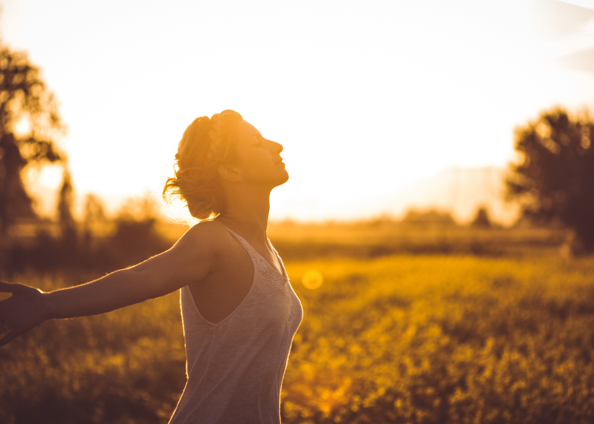 Finding Balance in Recovery: The Whole Life Wheel