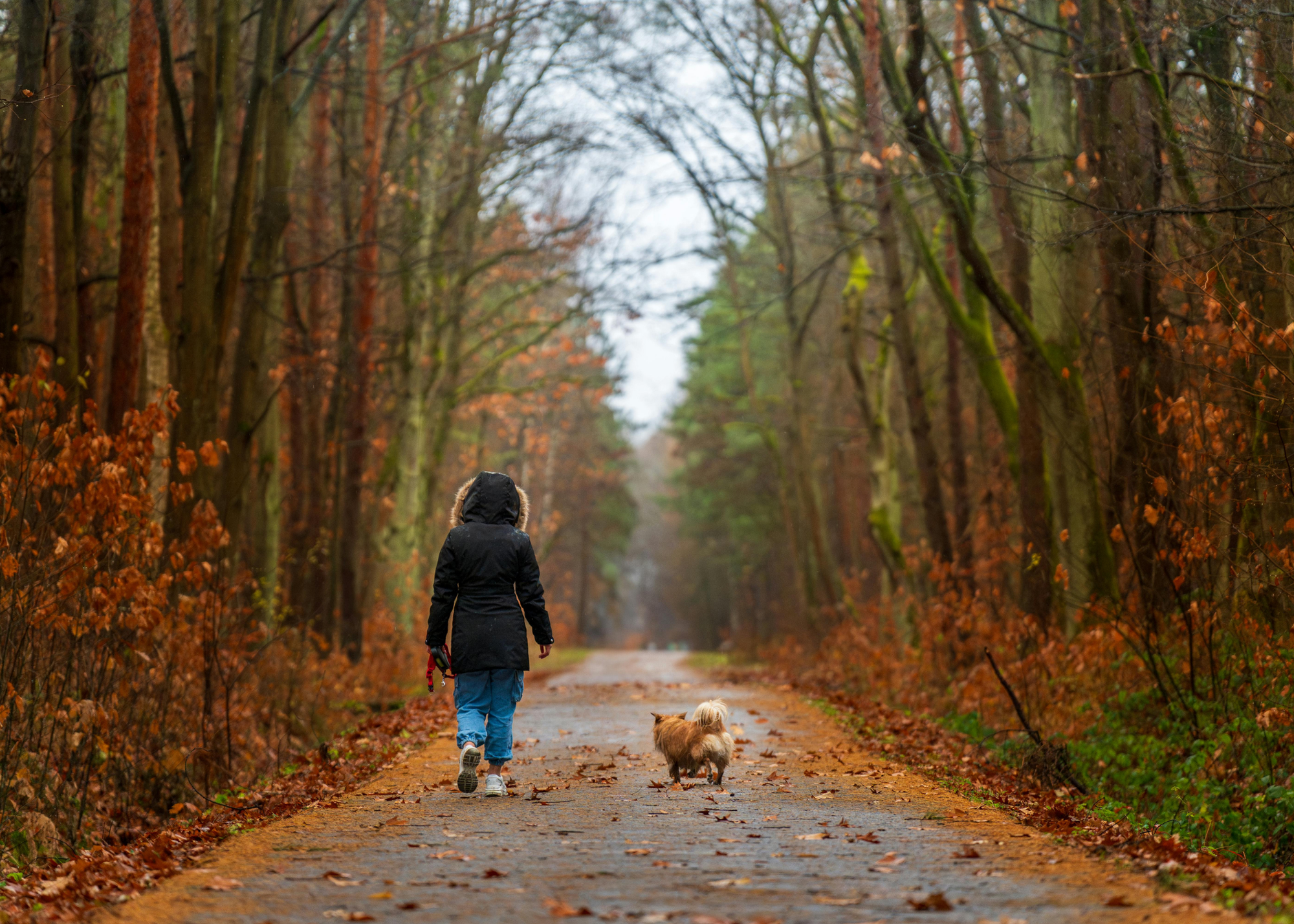 Rebuilding Your Life in Recovery