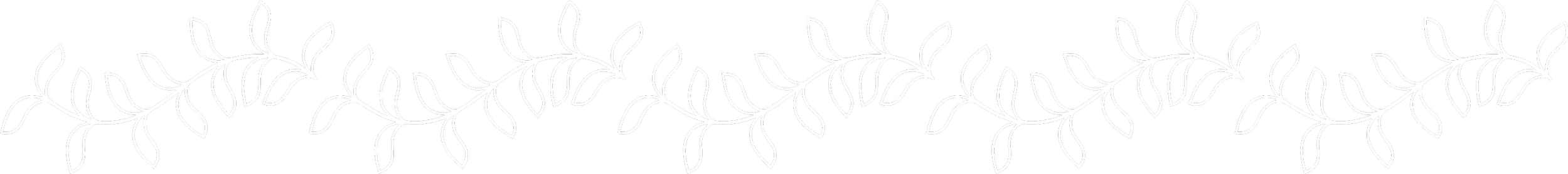 ramo blanco vandarum