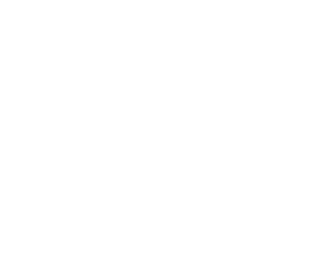 logo vandarum