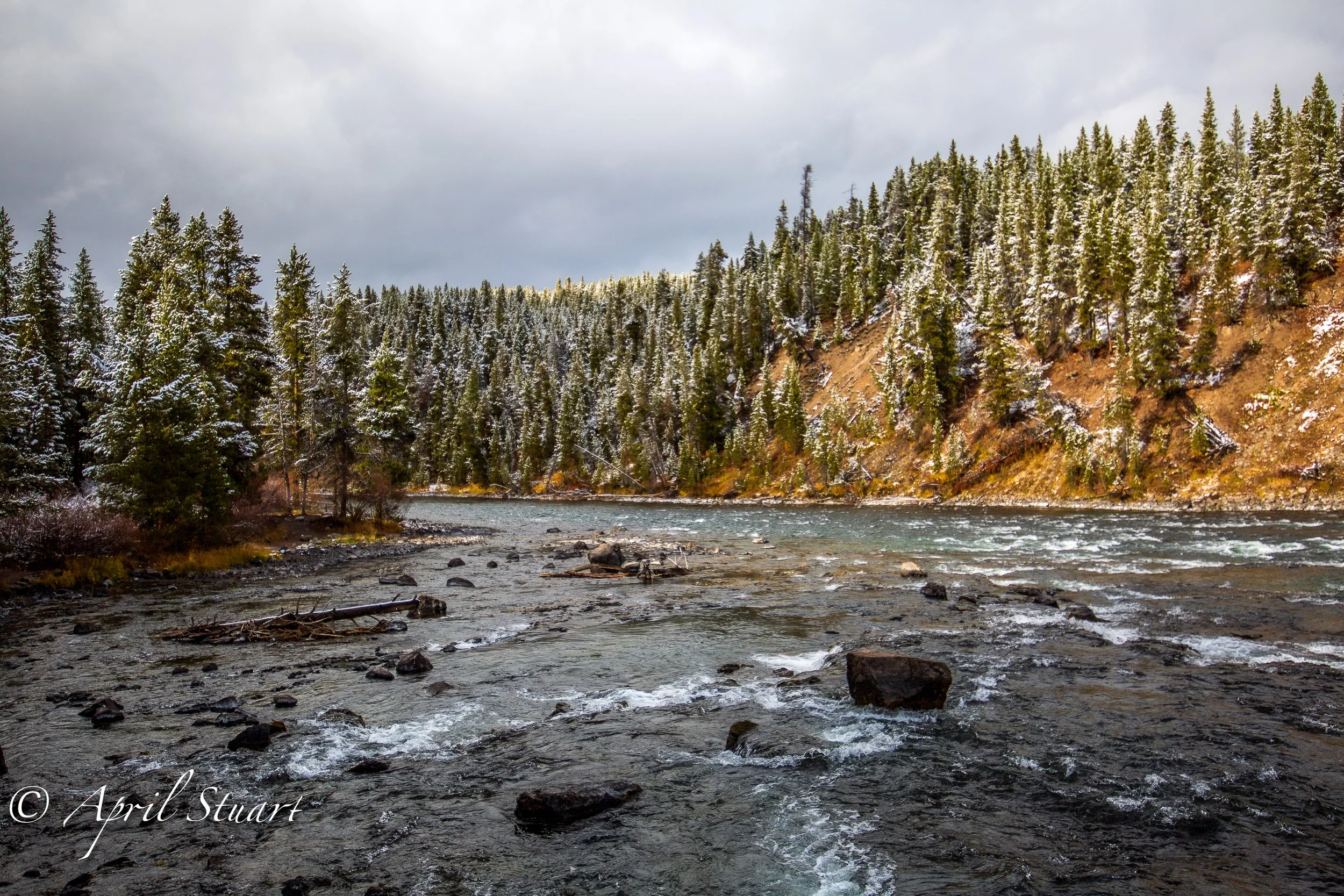 aprilstuartphotogS-62.JPG